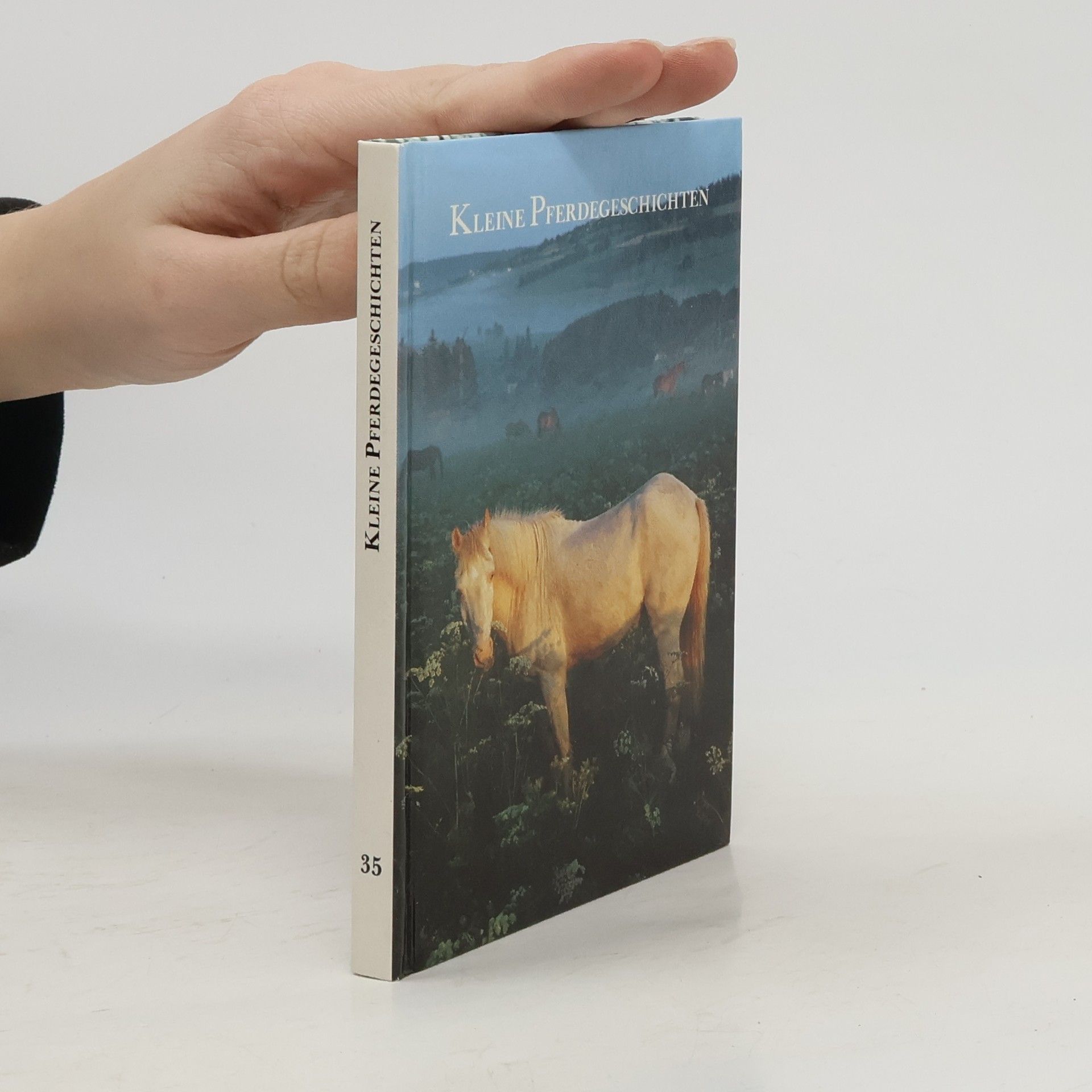 AA.VV. Kleine Pferdegeschichten 35
