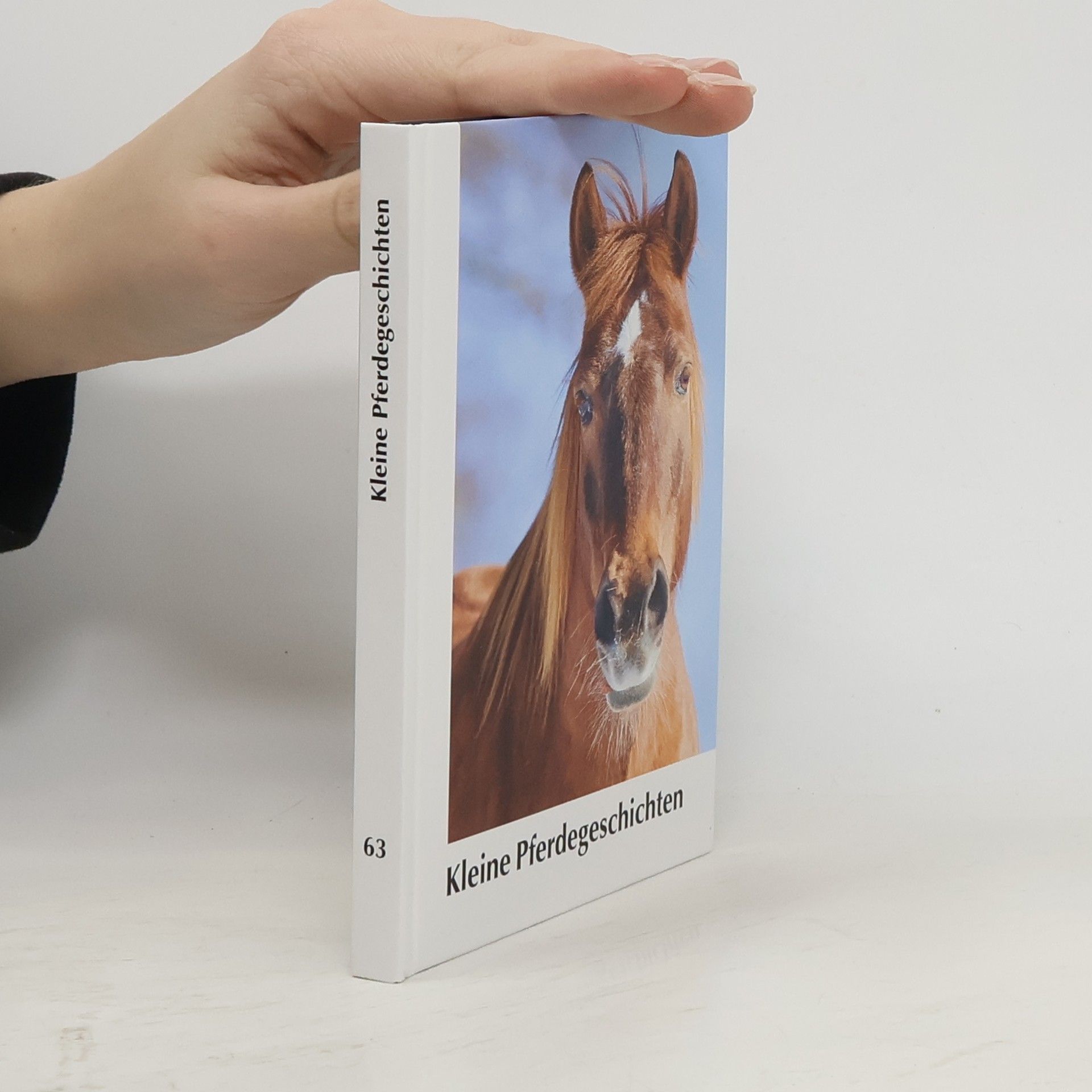 AA.VV. Kleine Pferdegeschichten 63