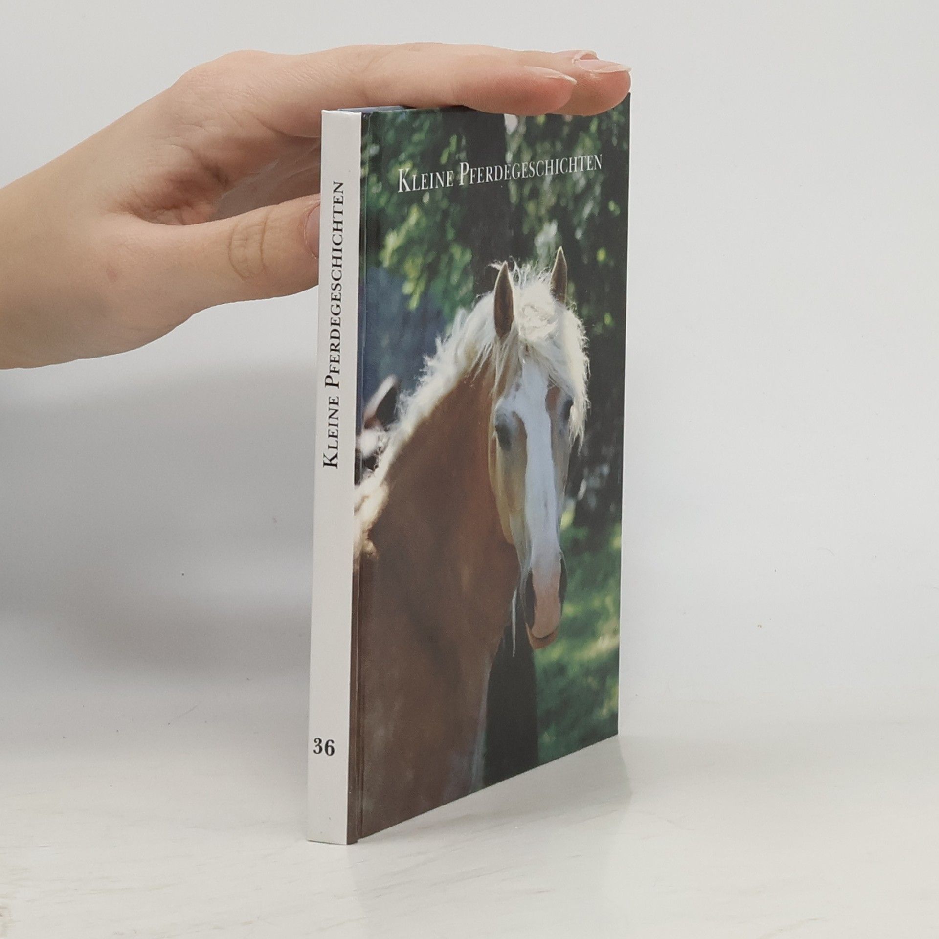 AA.VV. Kleine Pferdegeschichten 36
