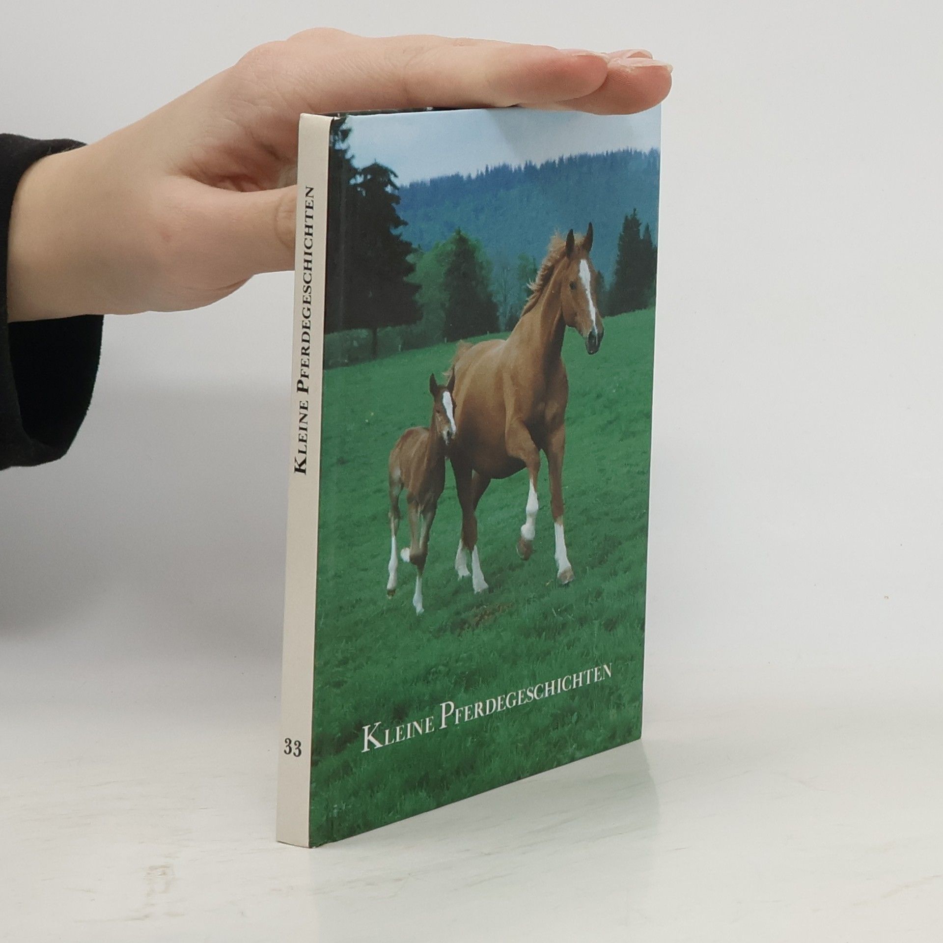 AA.VV. Kleine Pferdegeschichten 33