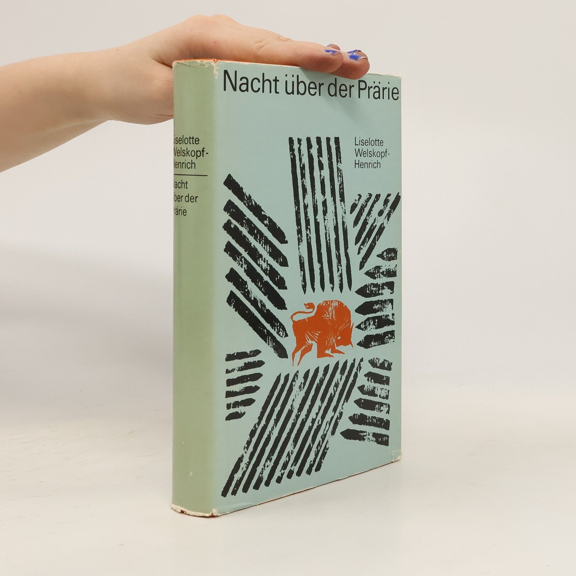 Liselotte Welskopf-Henrich Nacht über der Prärie