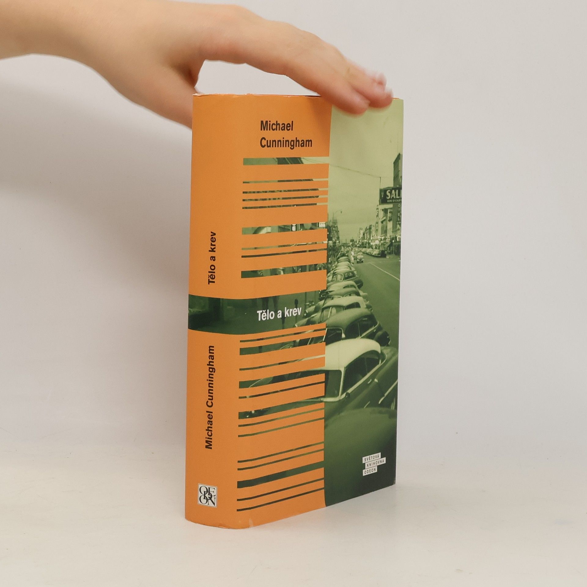 Michael Cunningham Tělo a krev