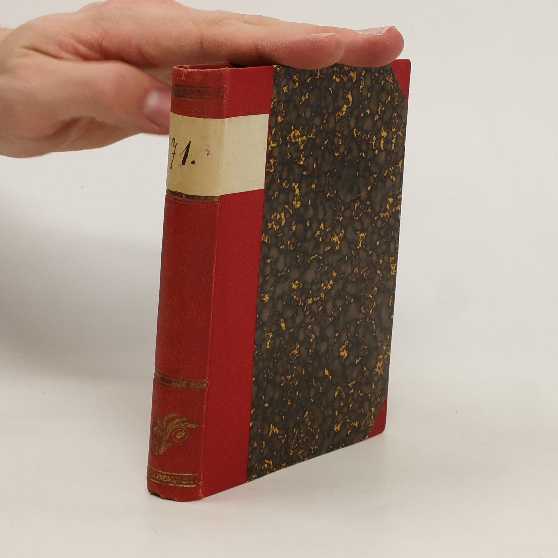 Václav Řezníček Český duch ve století XIX.