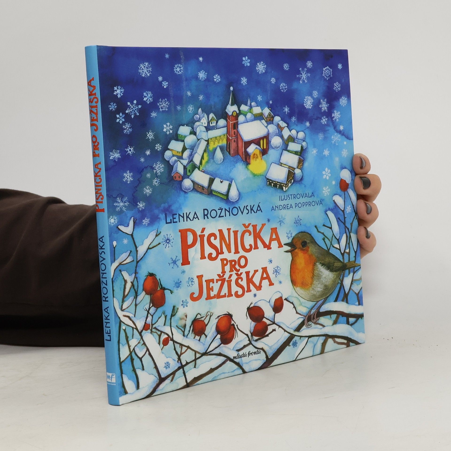 Písnička pro Ježíška