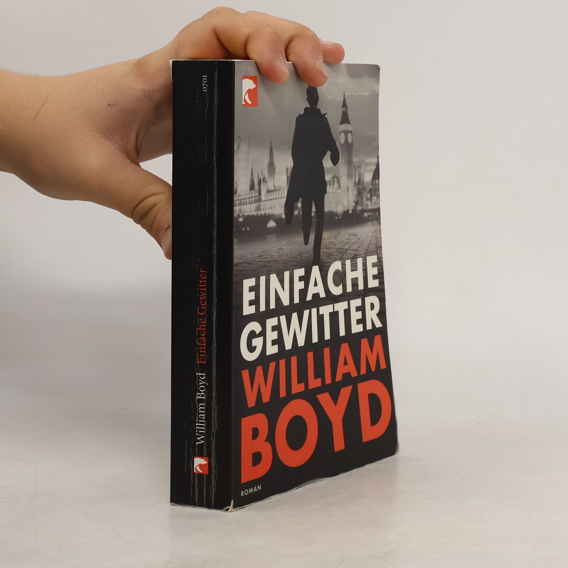 William Boyd Einfache Gewitter