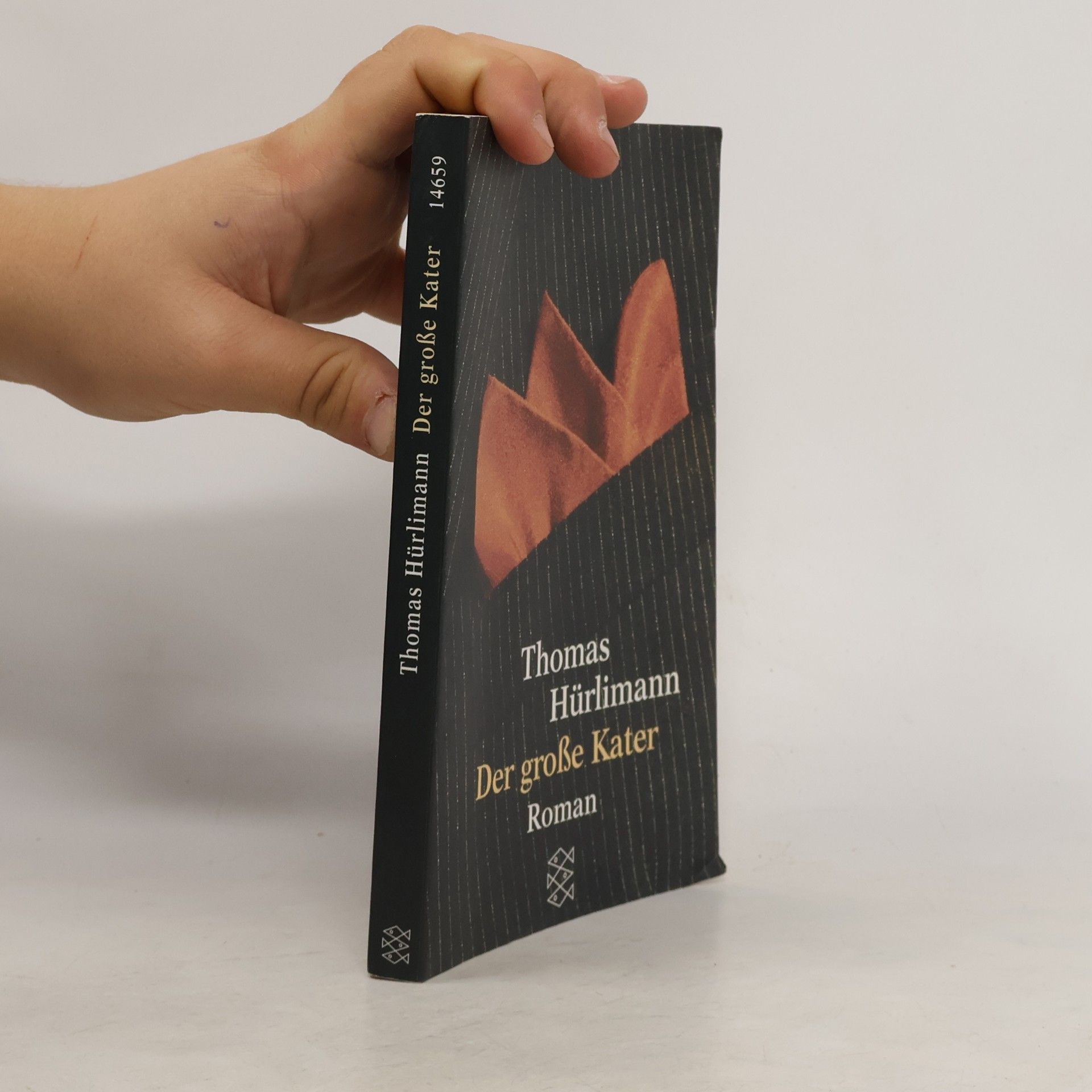 Thomas Hürlimann Der grosse Kater