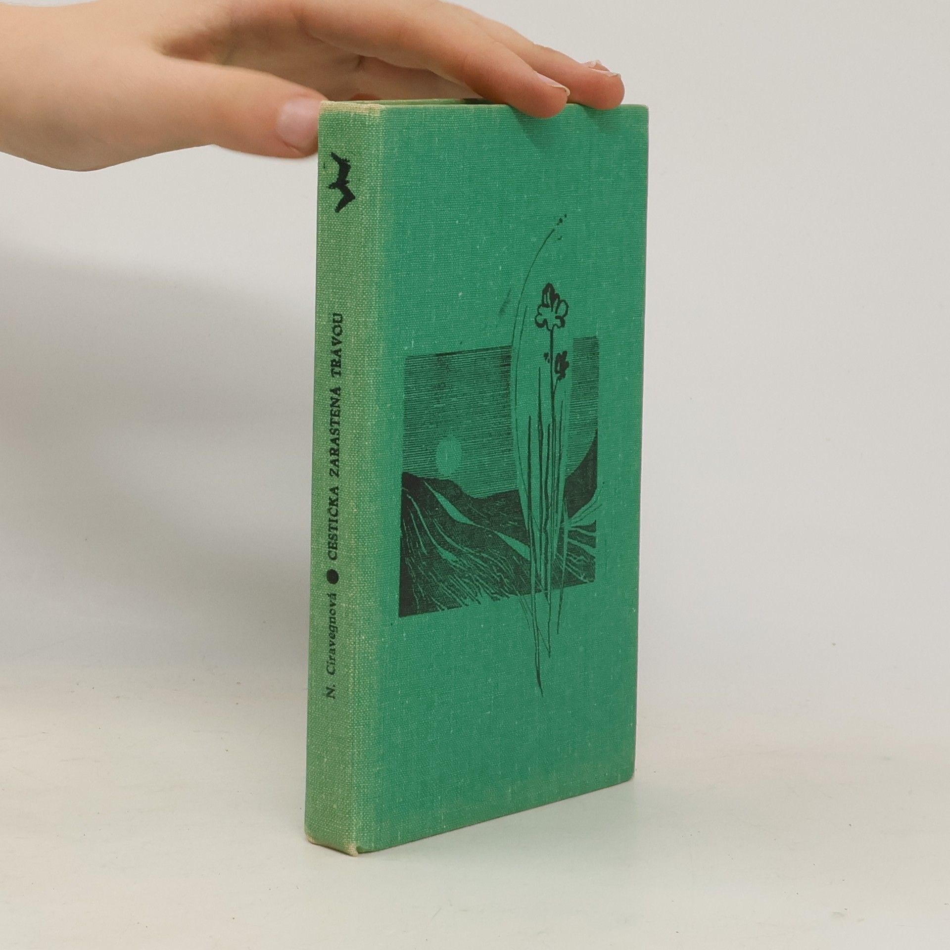 Cestička zarastená trávou