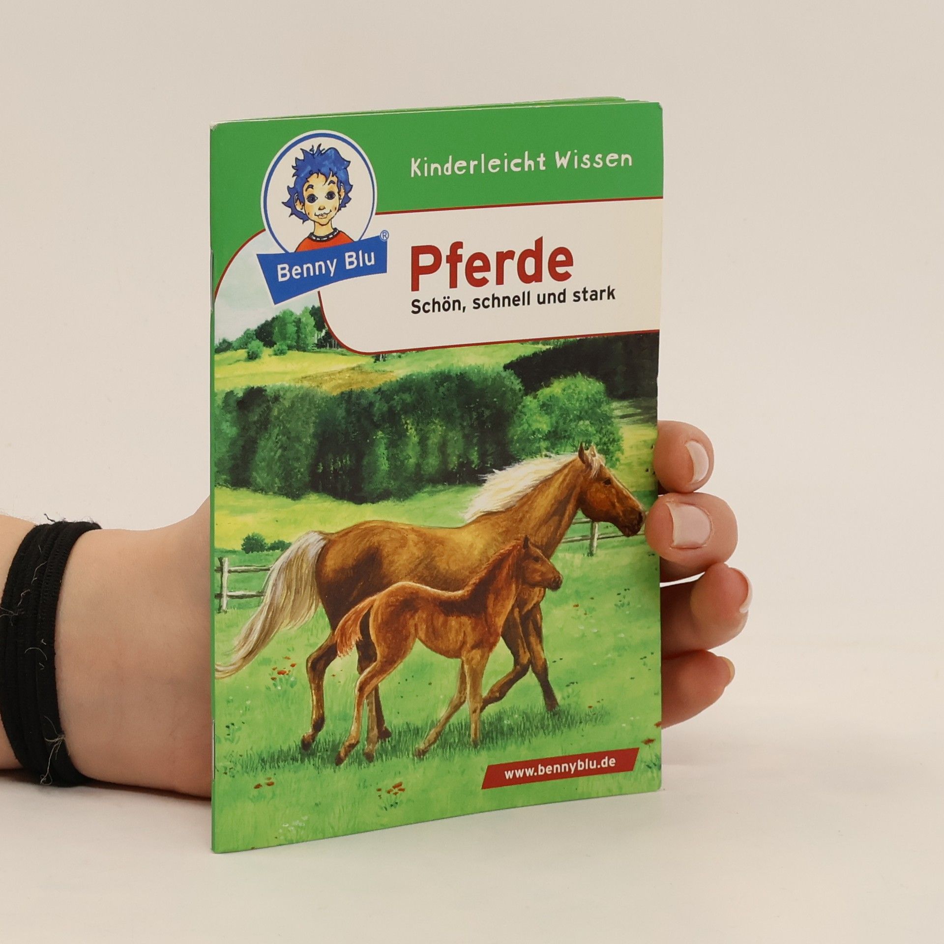 Heidemarie Rötzer Pferde