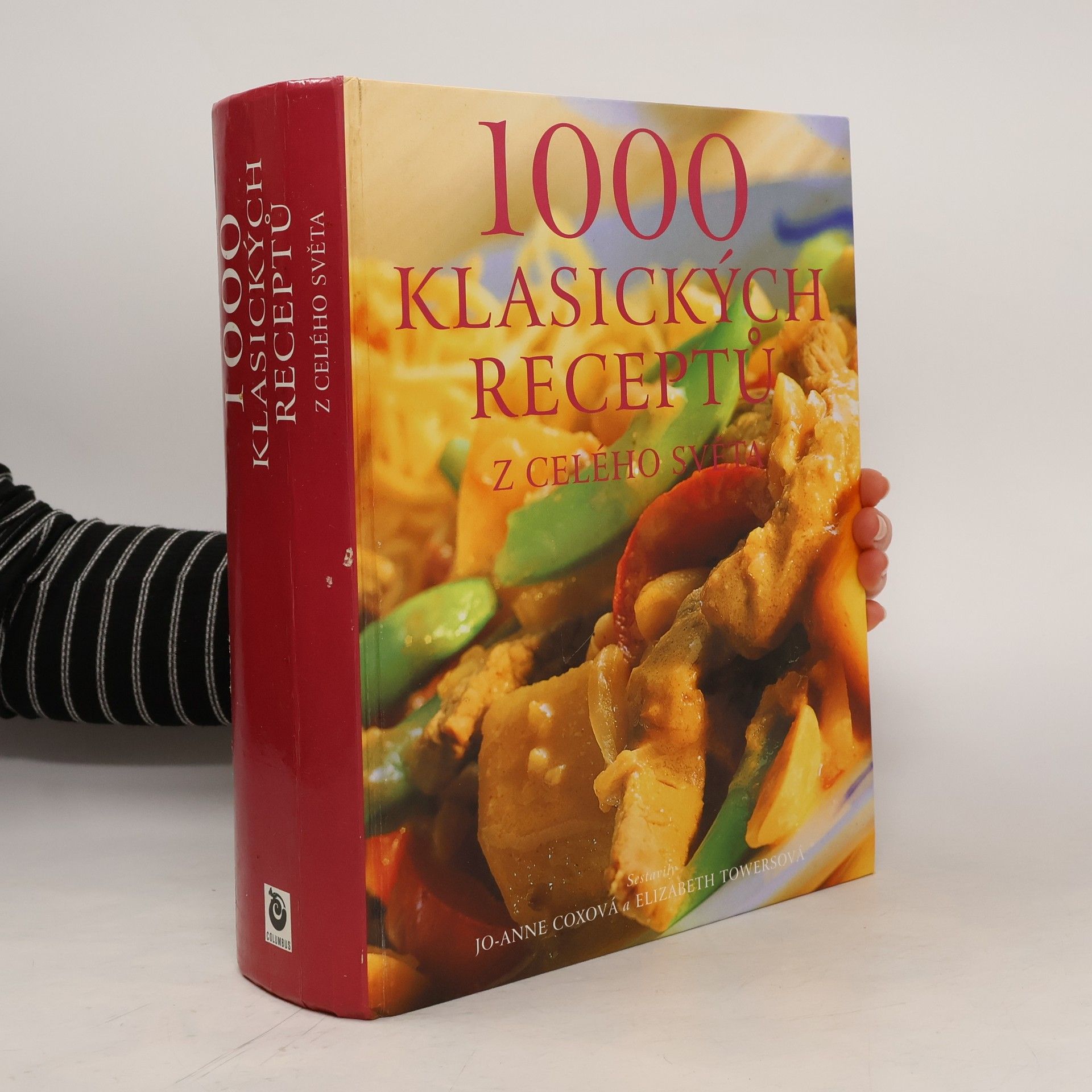 JoAnne Cox 1000 klasických receptů z celého světa