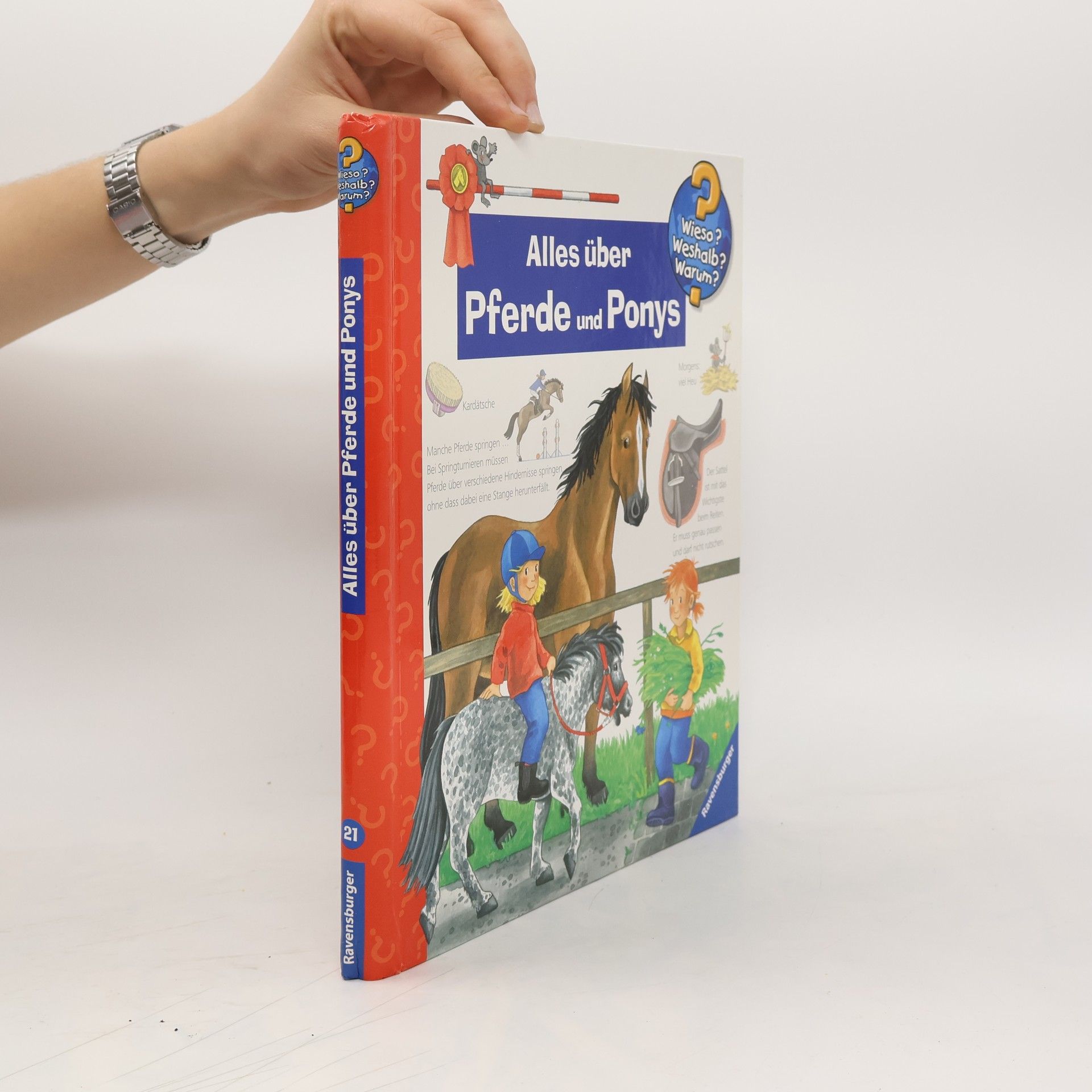Andrea Erne Alles über Pferde und Ponys