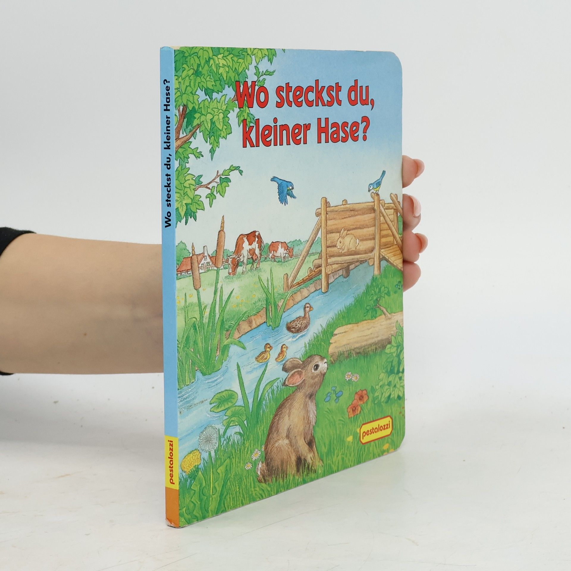 Wo steckst du, kleiner Hase?