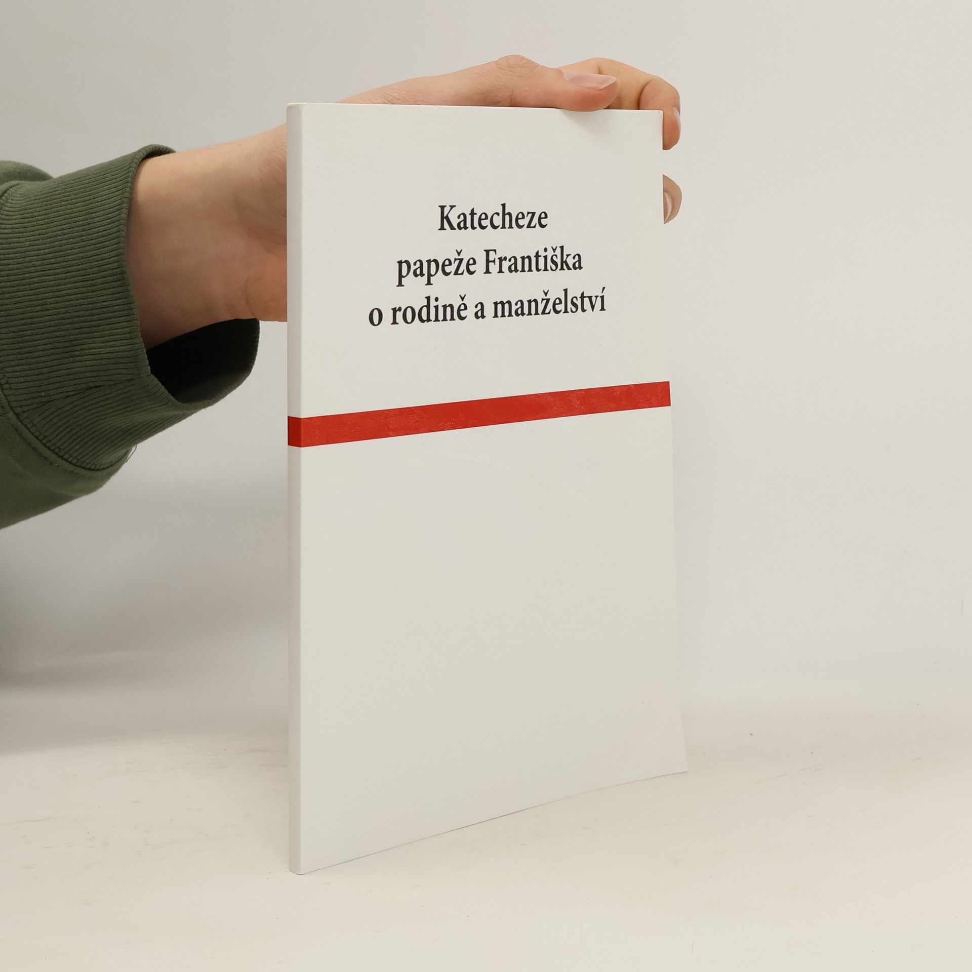 Autores varios Katecheze papeže Františka o rodině a manželství