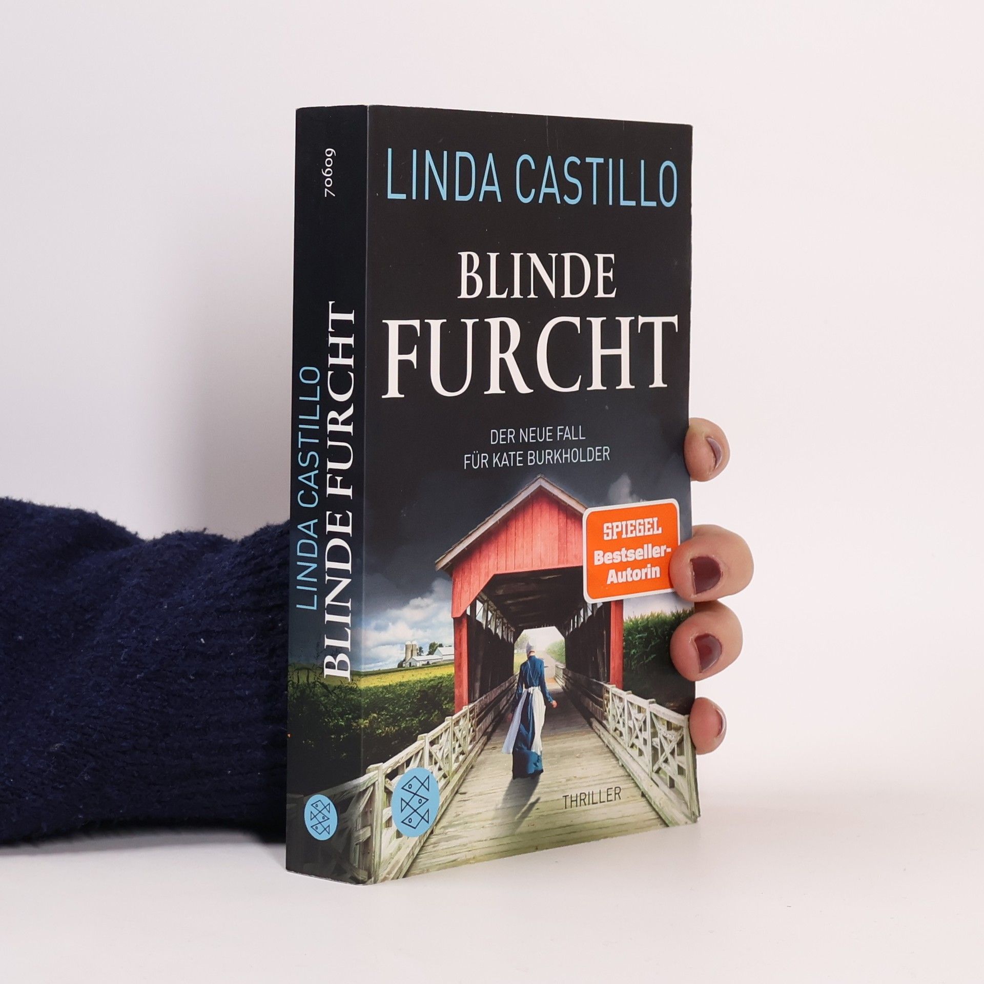 Linda Castillo Blinde Furcht