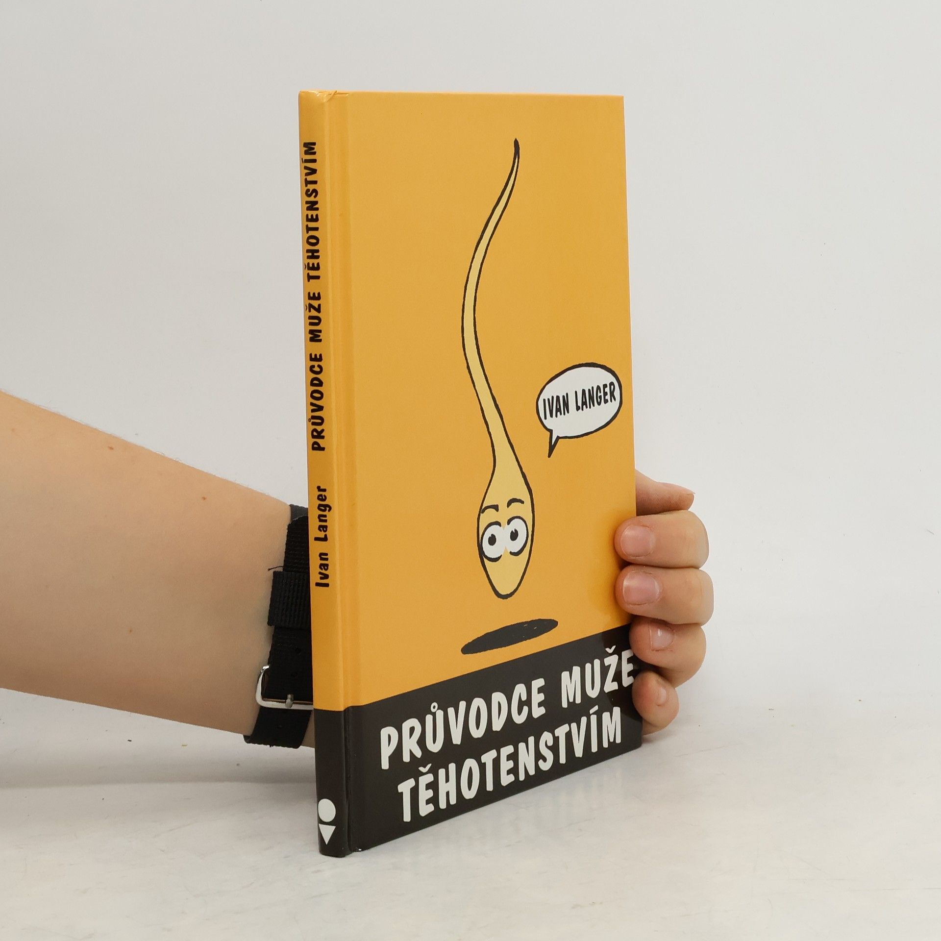 Průvodce muže těhotenstvím