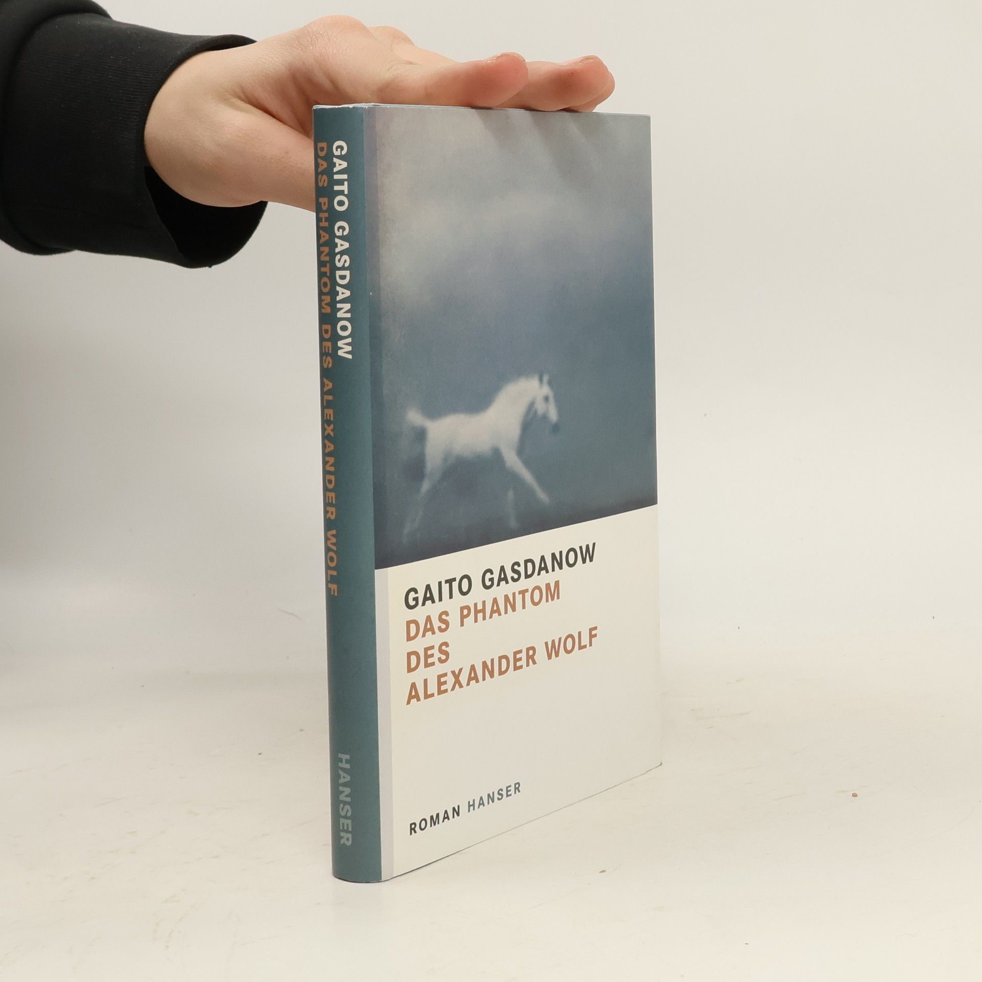 Gaito Gazdanov Das Phantom des Alexander Wolf