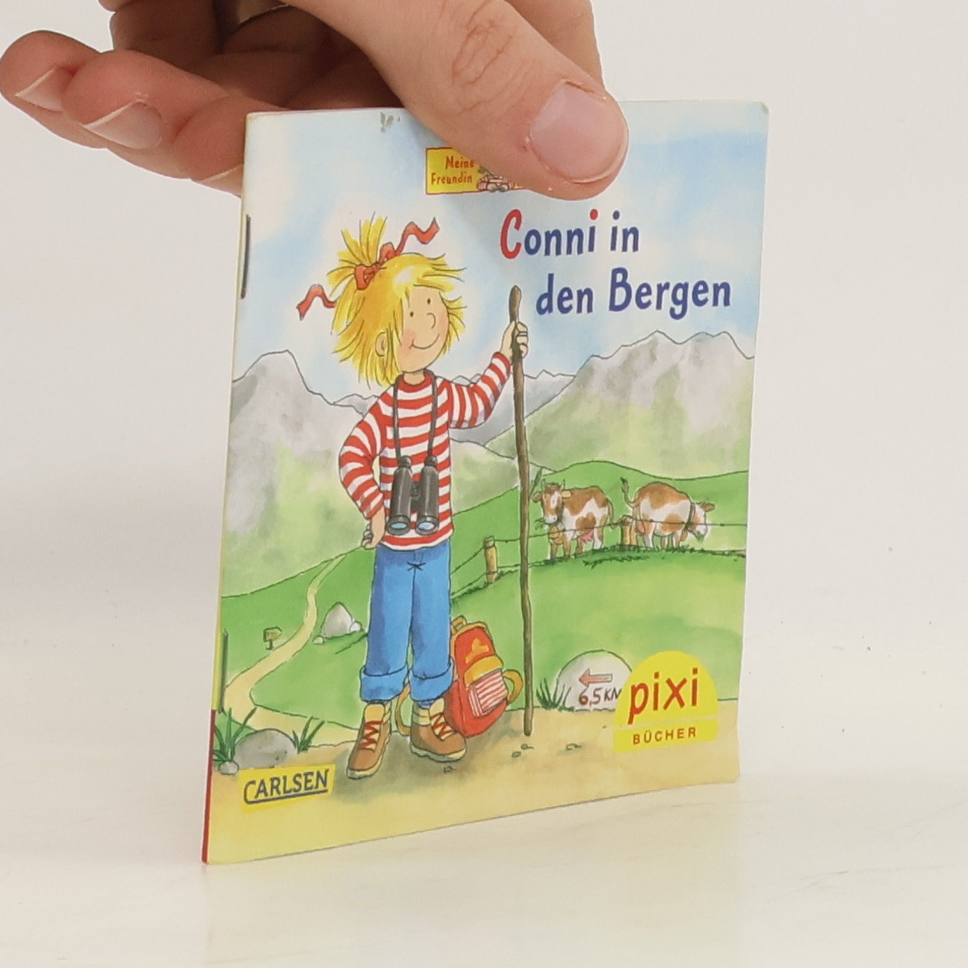 Autorenkollektiv Conni in den Bergen