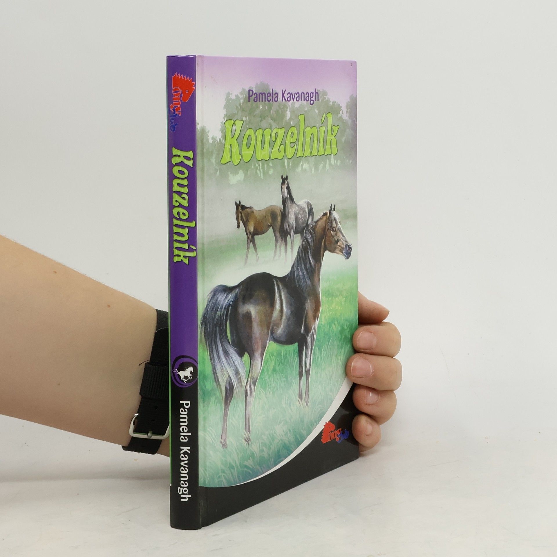 Pamela Kavanagh Kouzelník