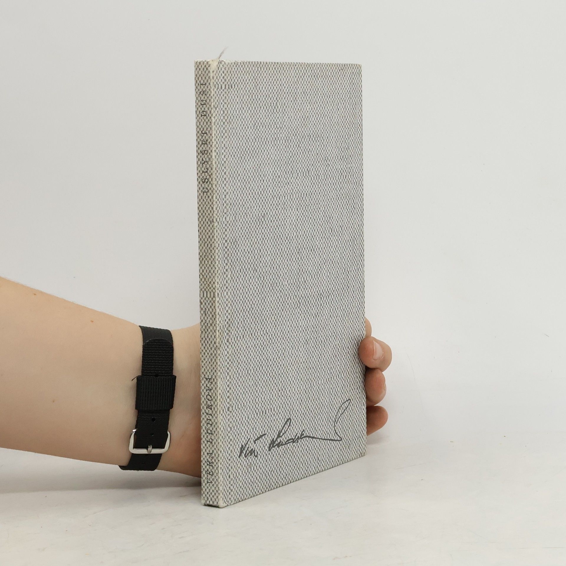 Uslyšet duši: básně a texty