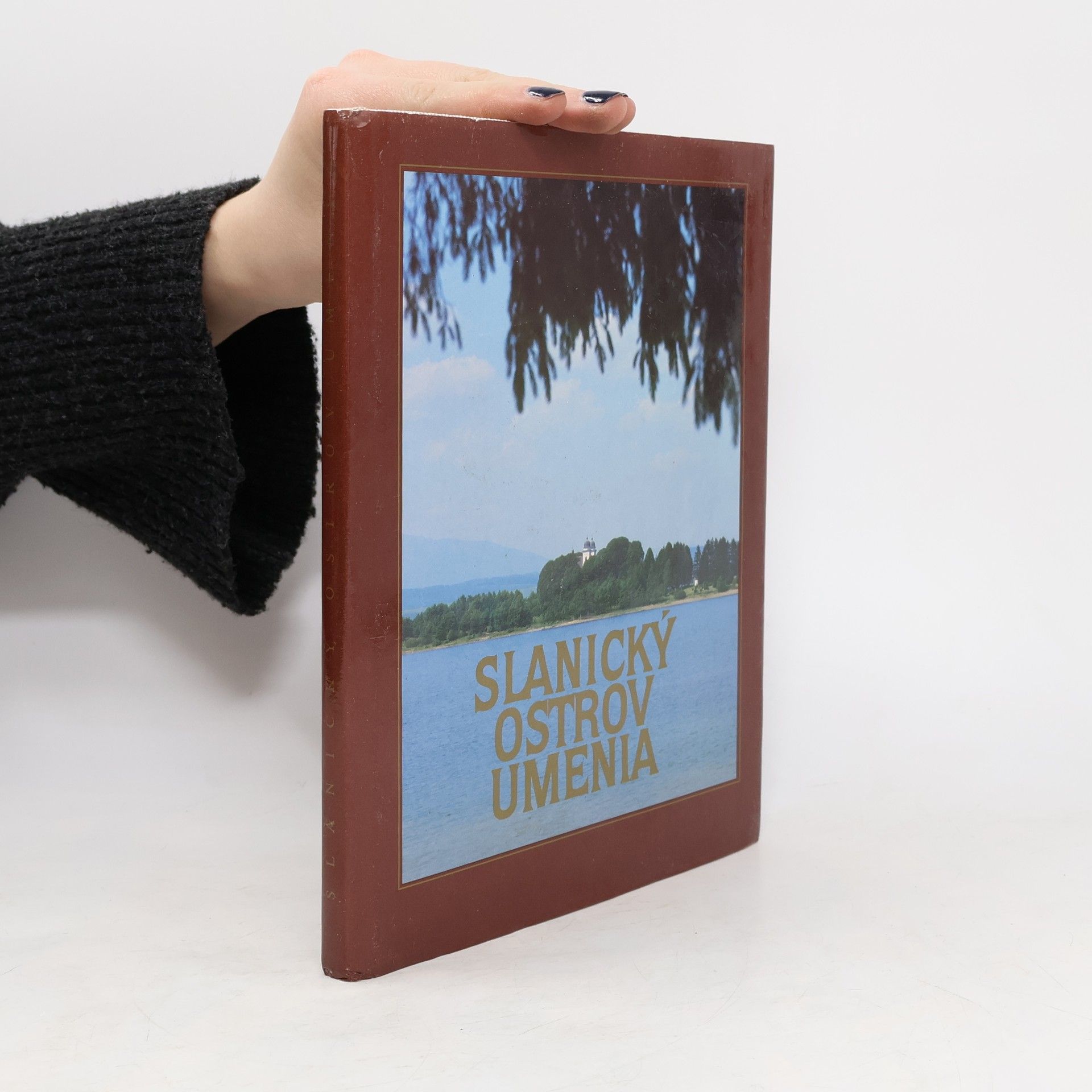 Eva Ľuptáková Slanický ostrov umenia