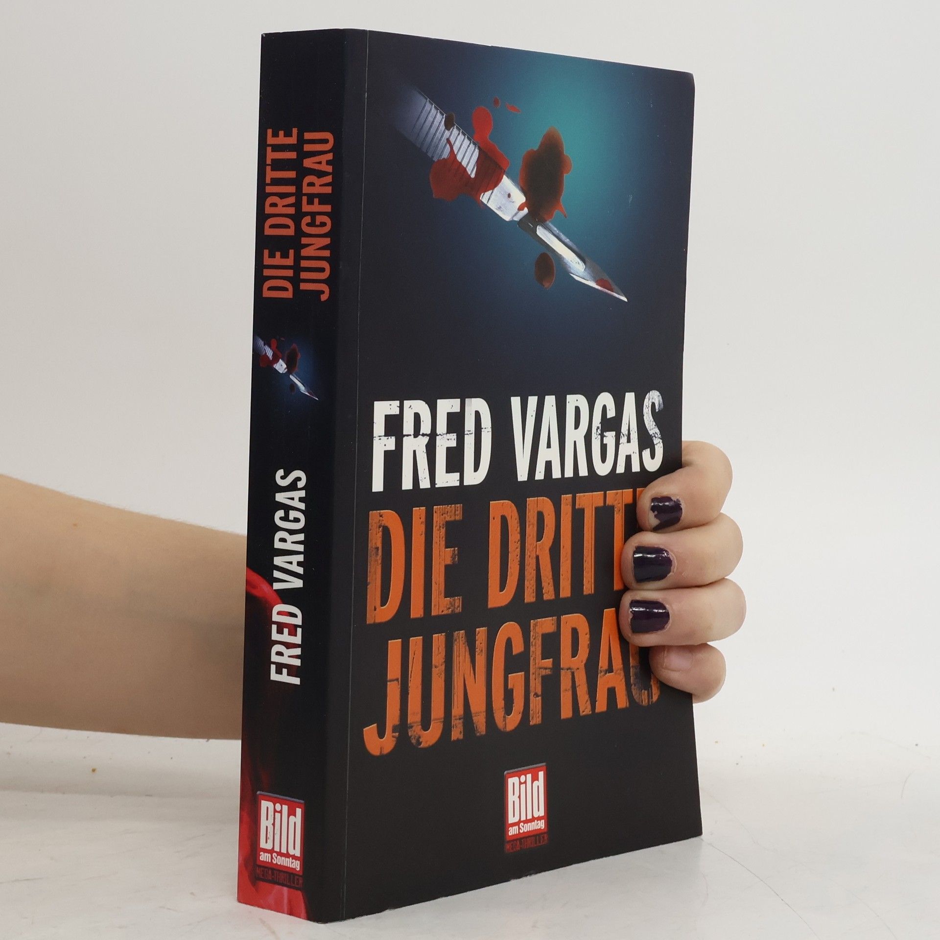 Fred Vargas Die dritte Jungfrau
