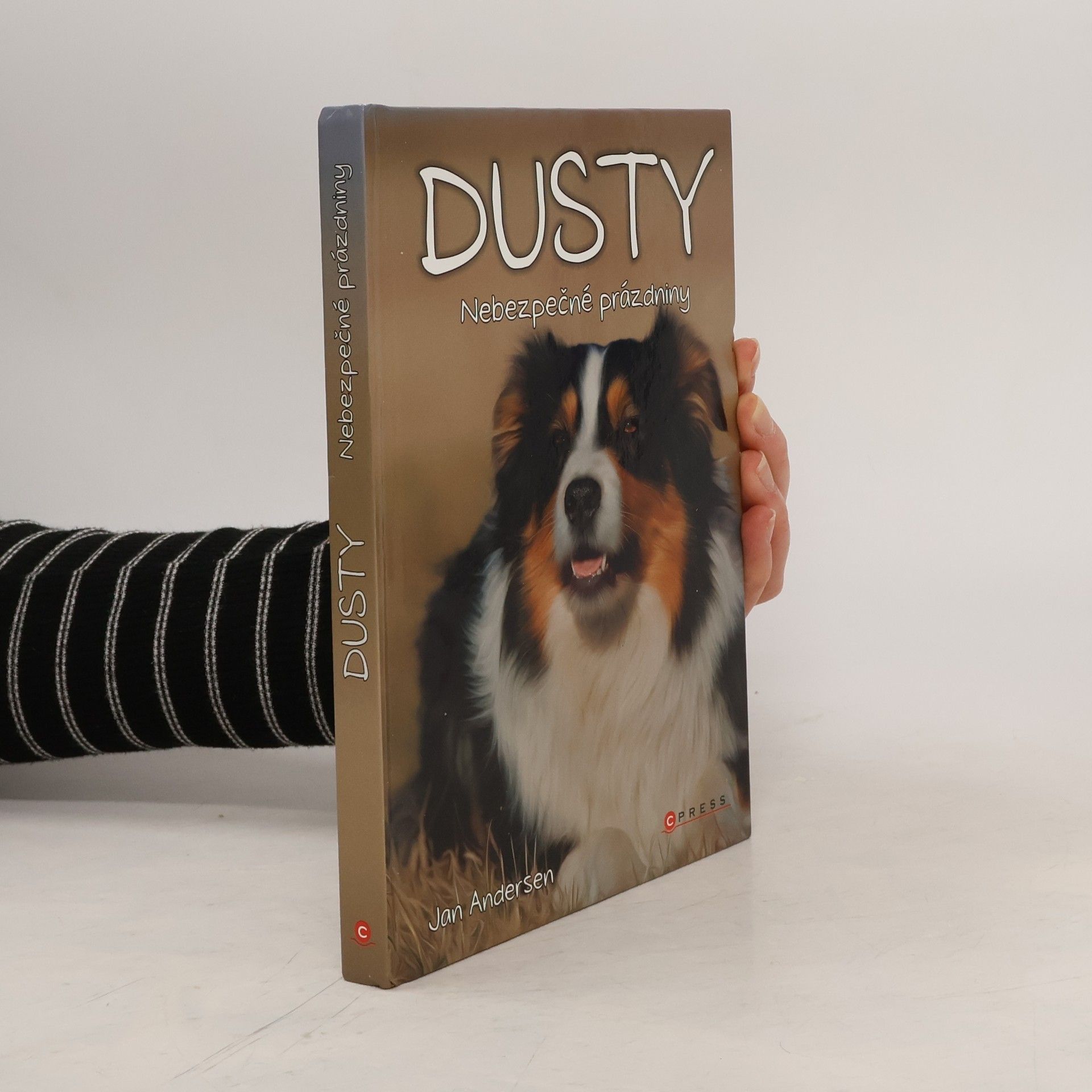 Dusty: Nebezpečné prázdniny