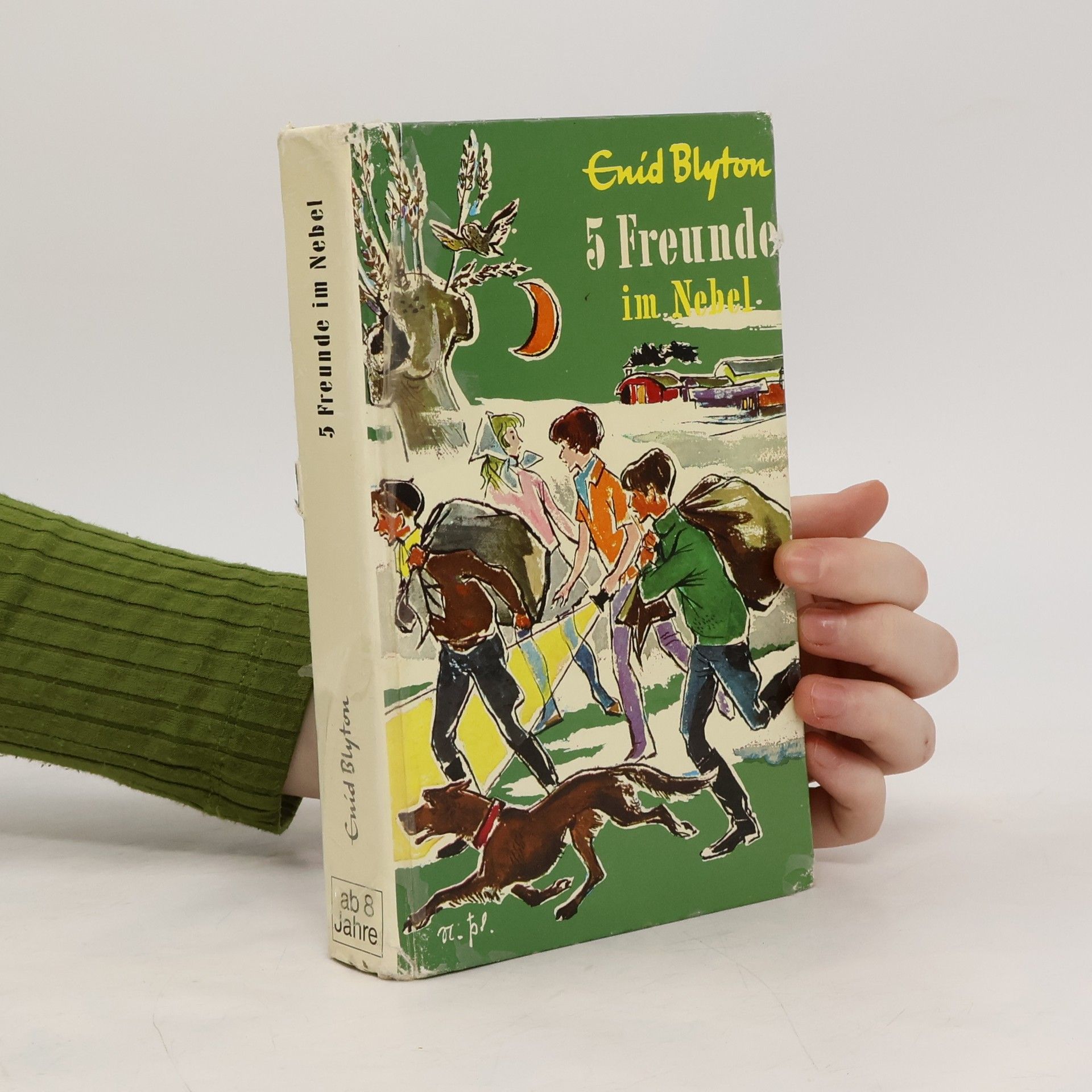 Enid Blyton 5 Freunde im Nebel