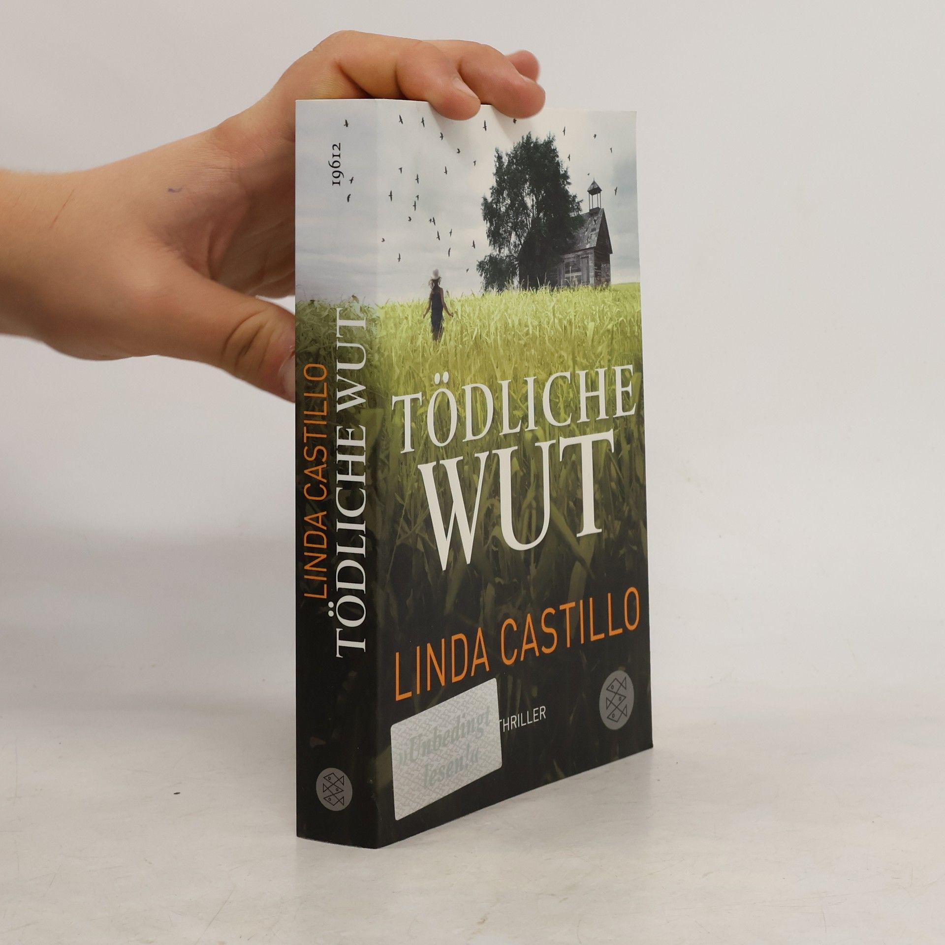 Linda Castillo Tödliche Wut