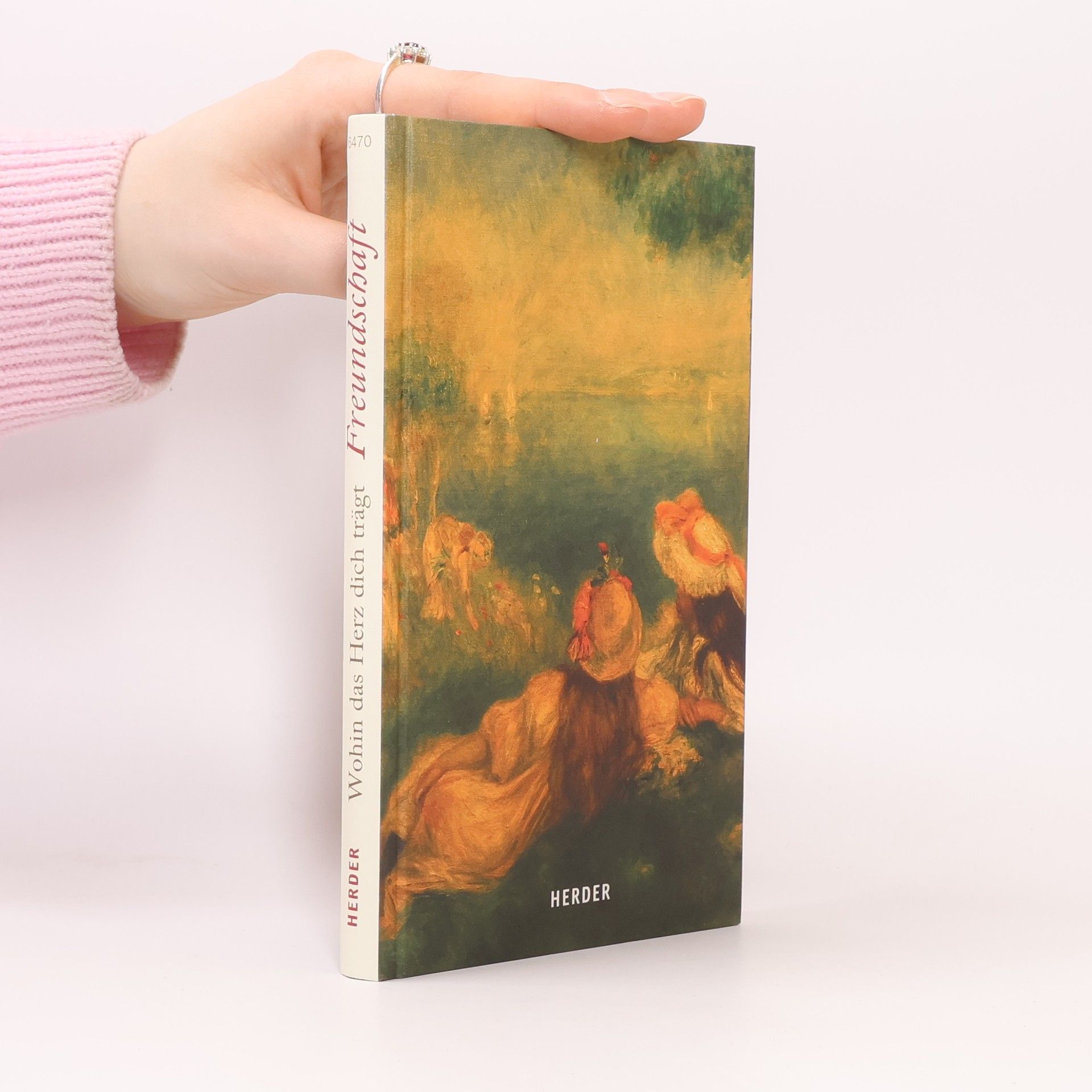 HERDER spektrum: Wohin das Herz dich trägt - Freundschaft