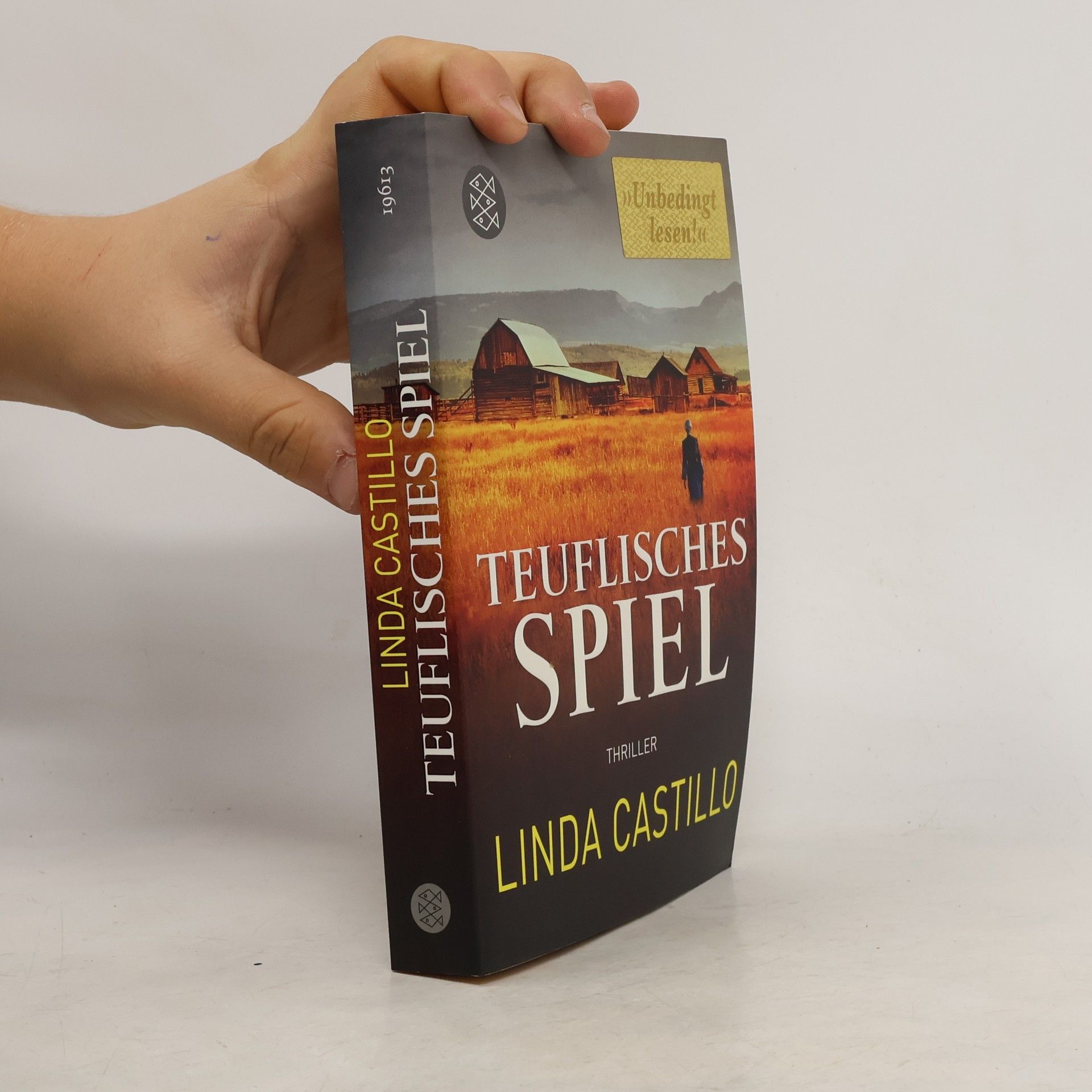 Linda Castillo Teuflisches Spiel