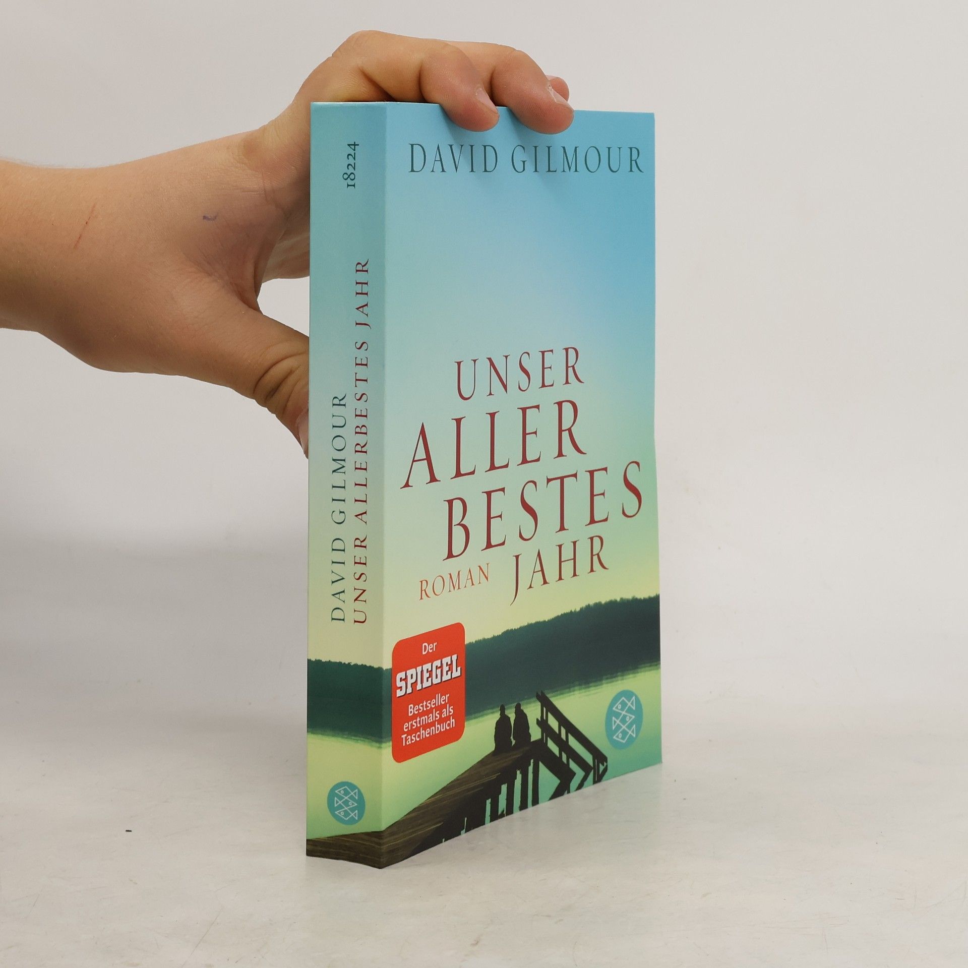 David Gilmour Unser allerbestes Jahr