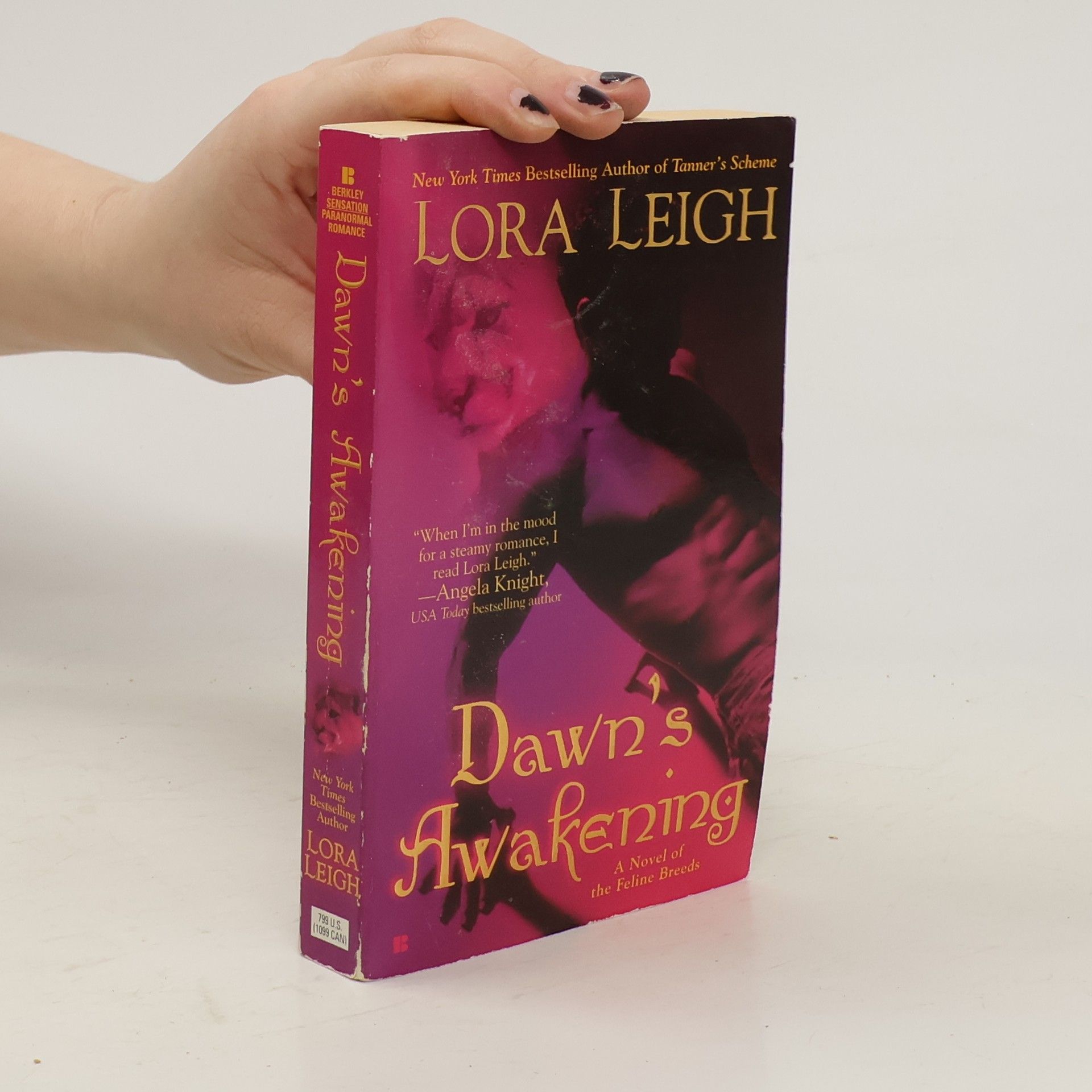 Lora Leigh Dawn's Awakening