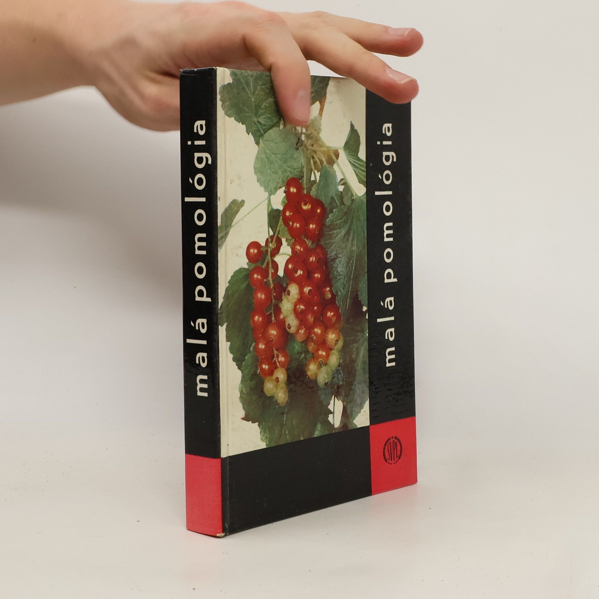 Dominik Pochyba Malá pomológia