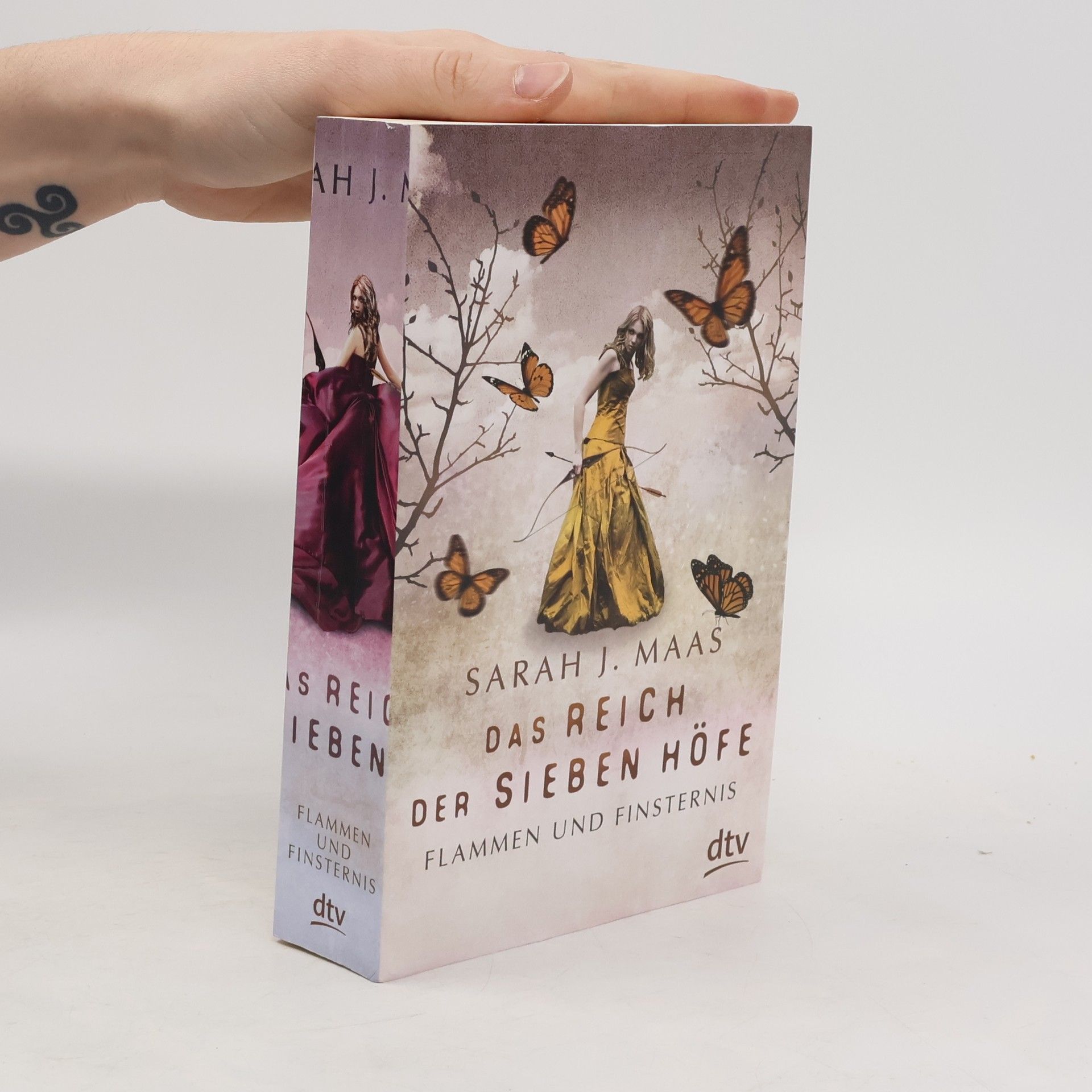 Das Reich der sieben Höfe