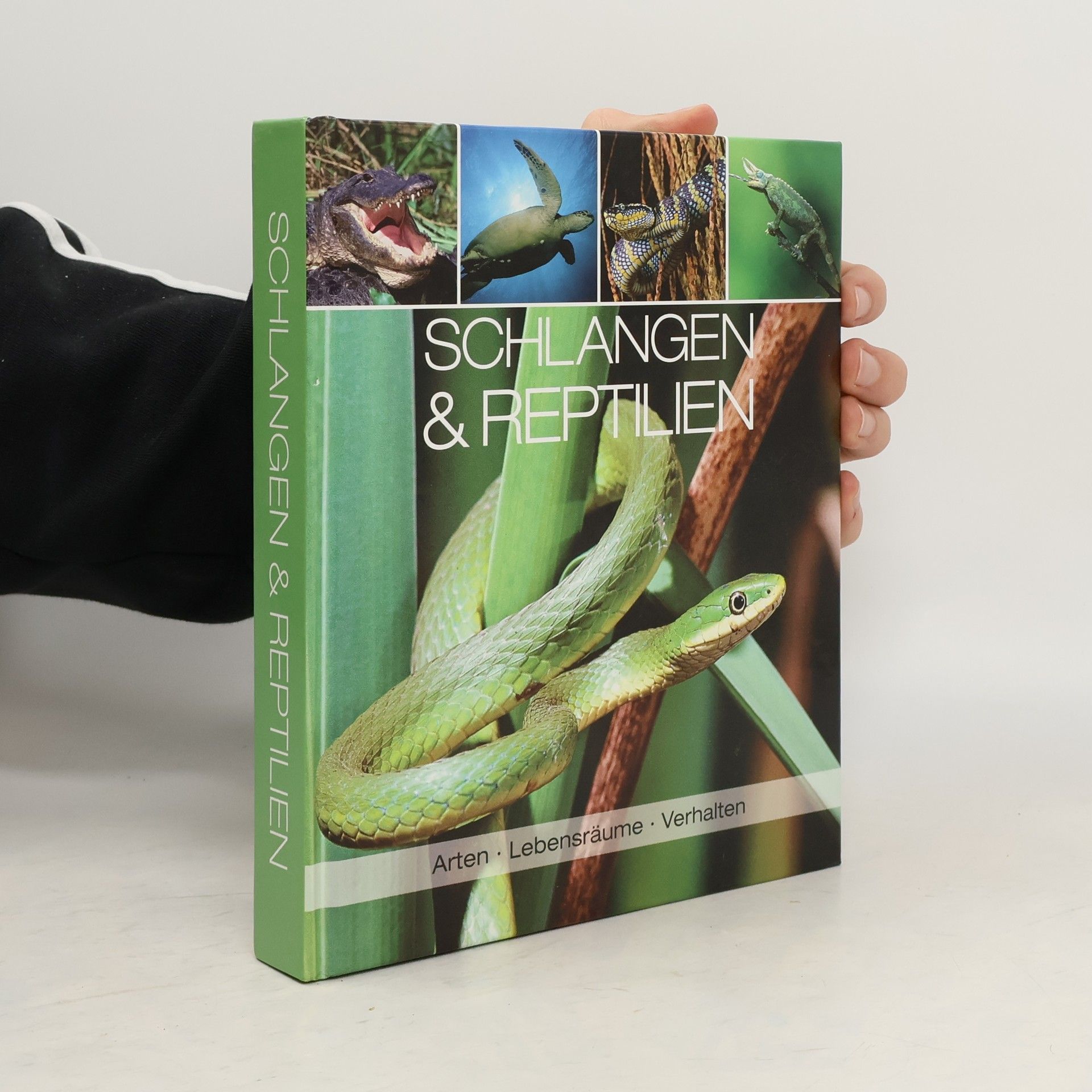 Autorenkollektiv Schlangen & Reptilien