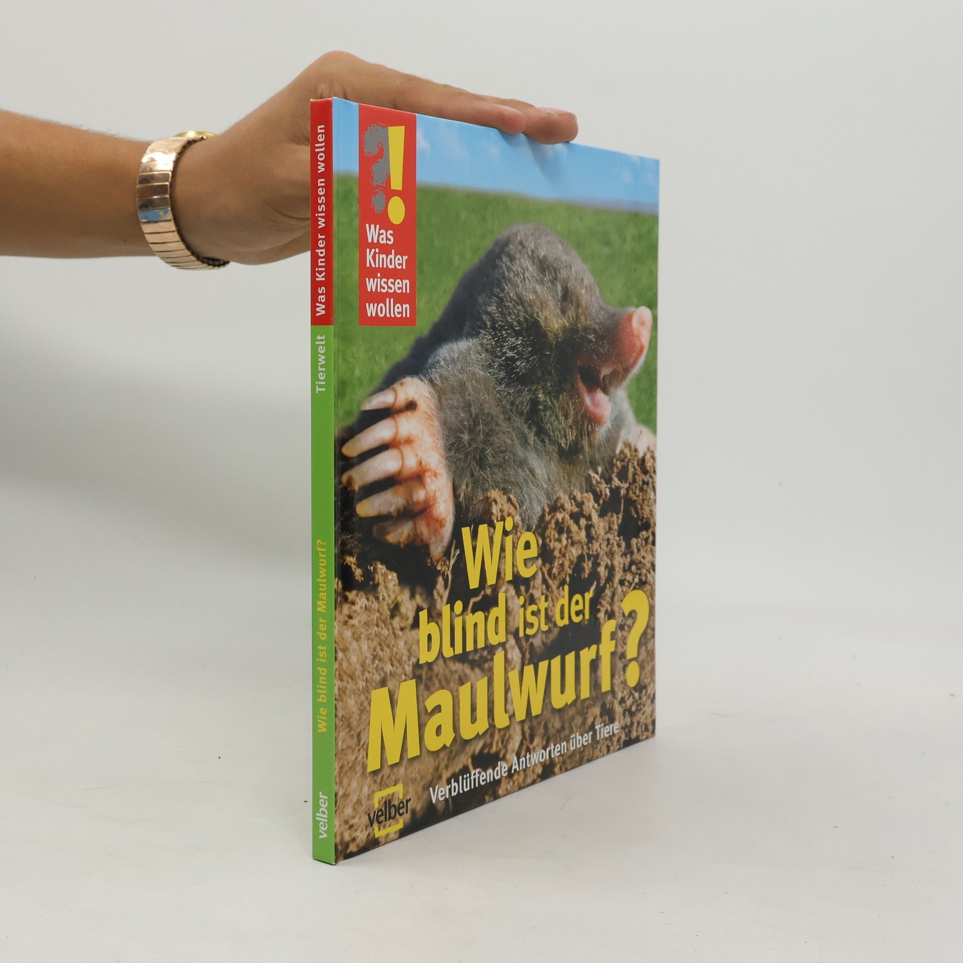 Katrin Hecker Wie blind ist der Maulwurf?