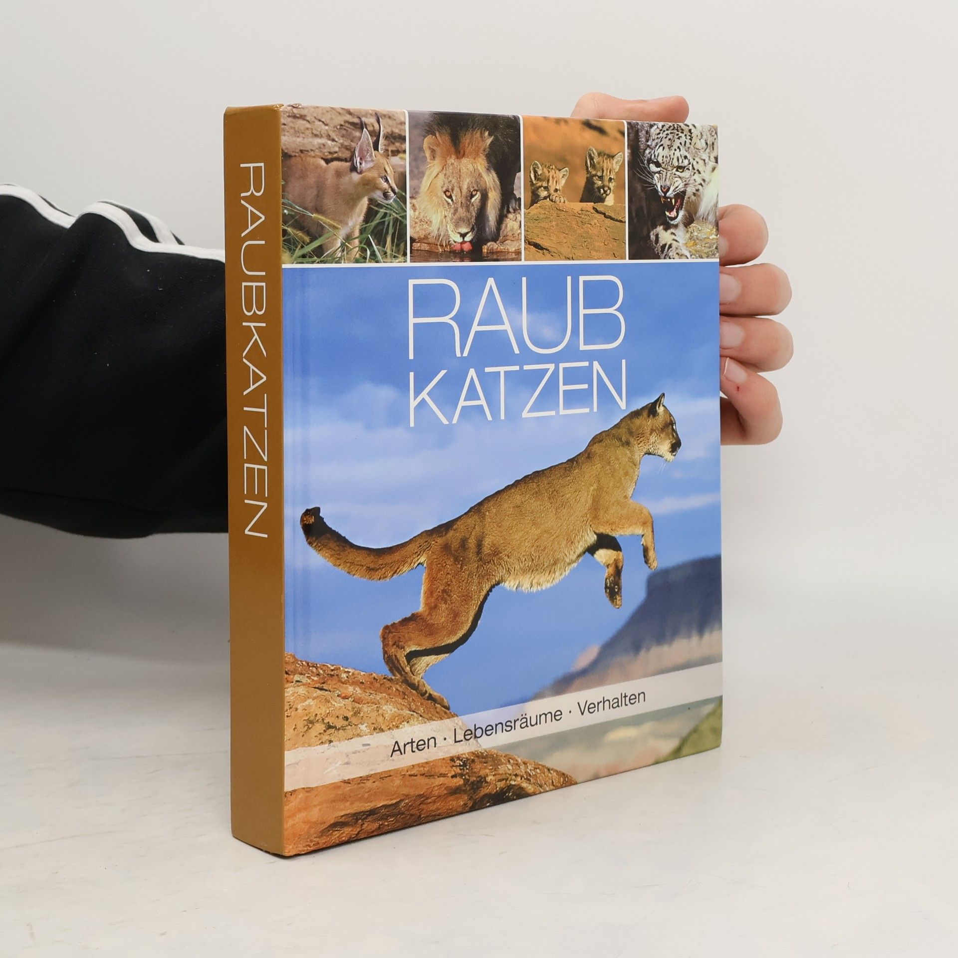 Autorenkollektiv Raubkatzen - Arten, Lebensräume, Verhalten