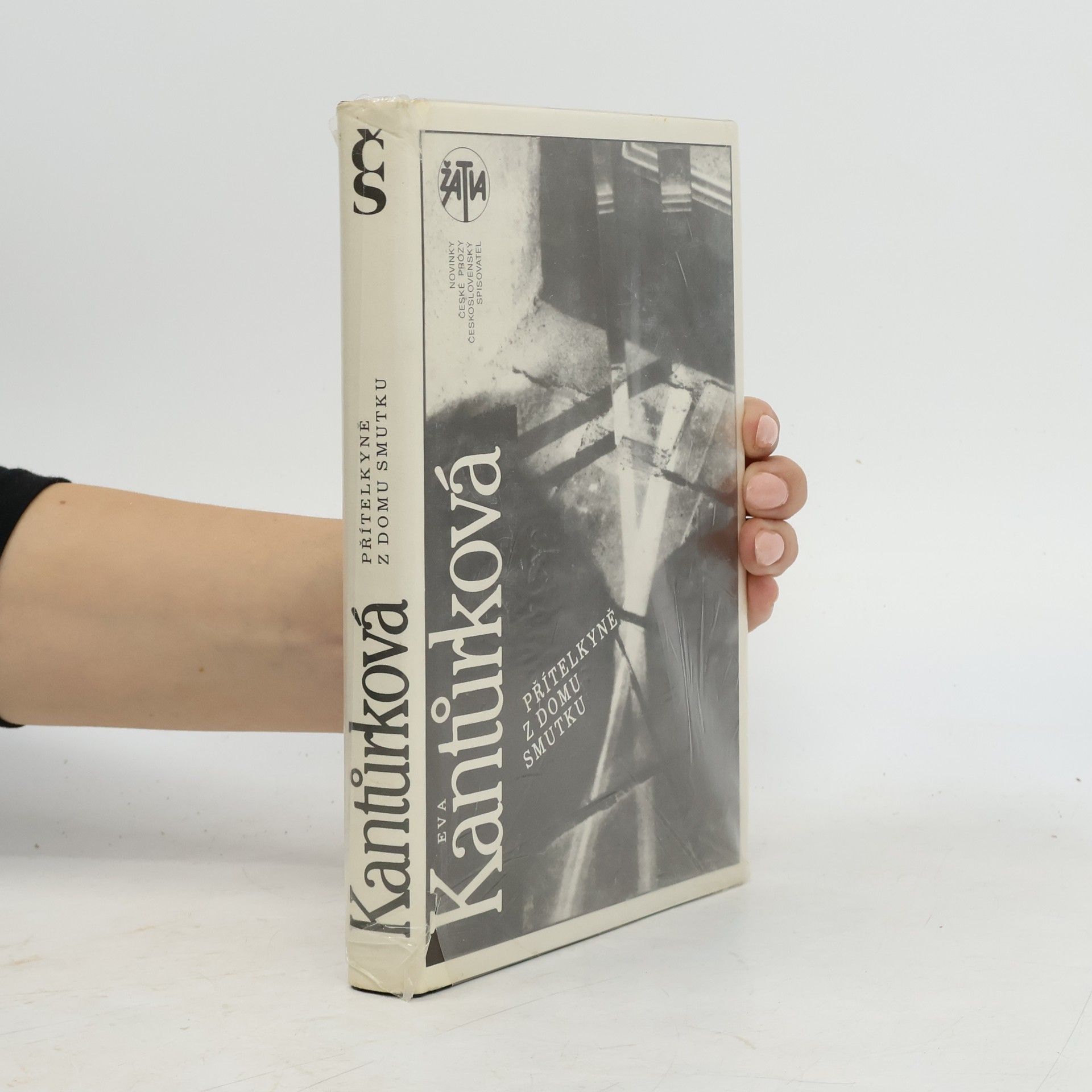 Eva Kantůrková Přítelkyně z domu smutku