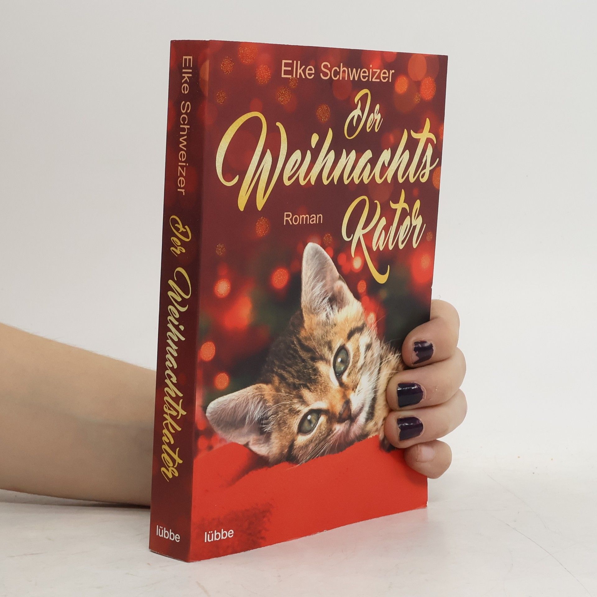 Elke Schweizer Der Weihnachtskater