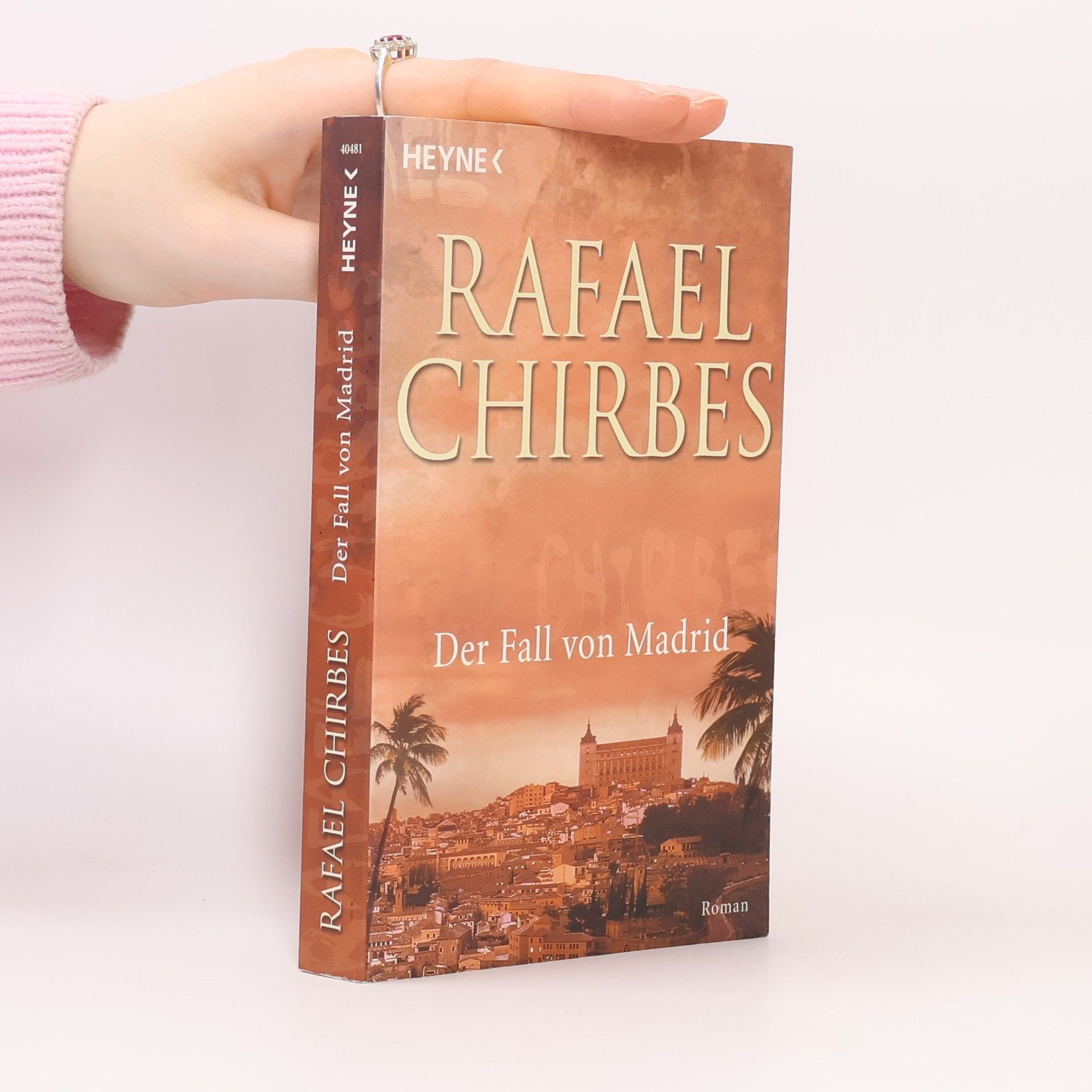 Rafael Chirbes Der Fall von Madrid