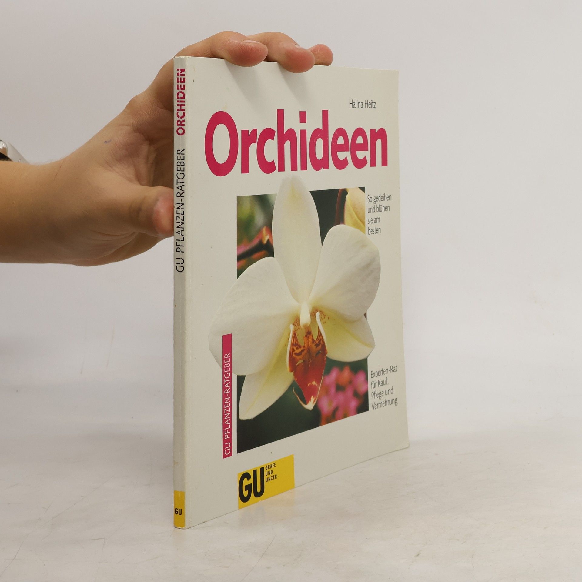 Orchideen