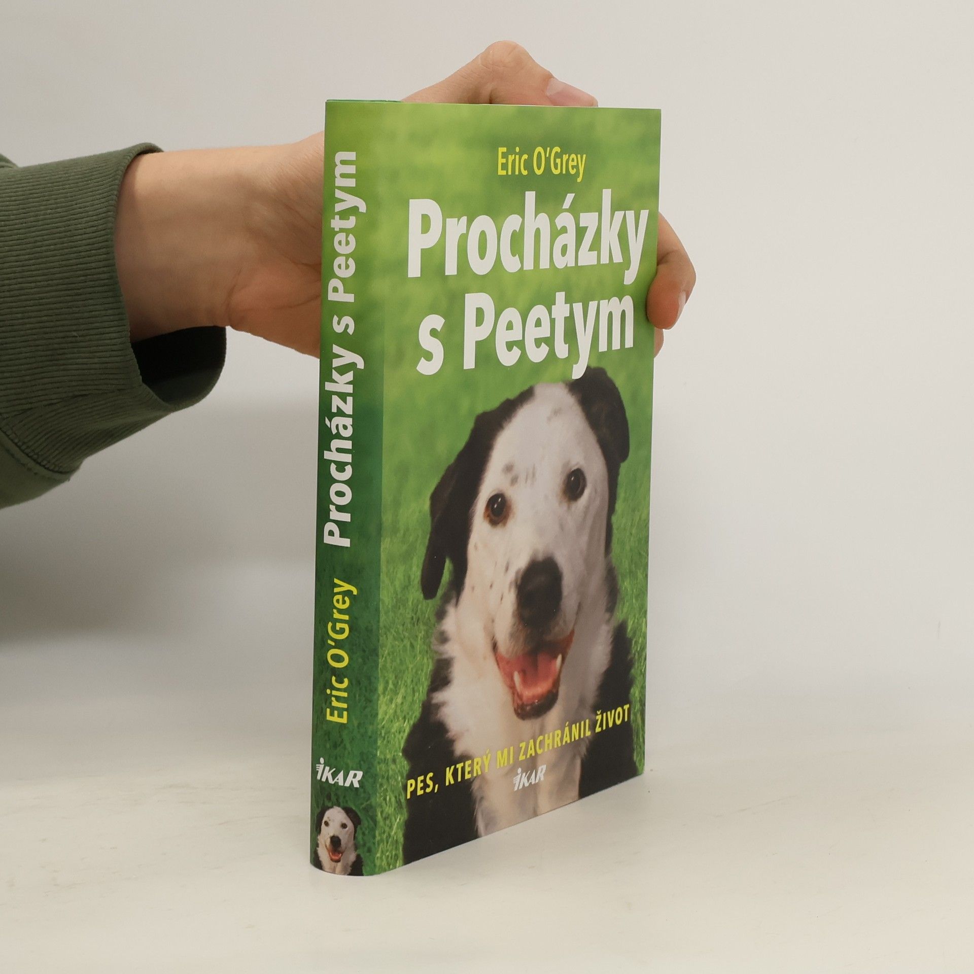 Procházky s Peetym : pes, který mi zachránil život