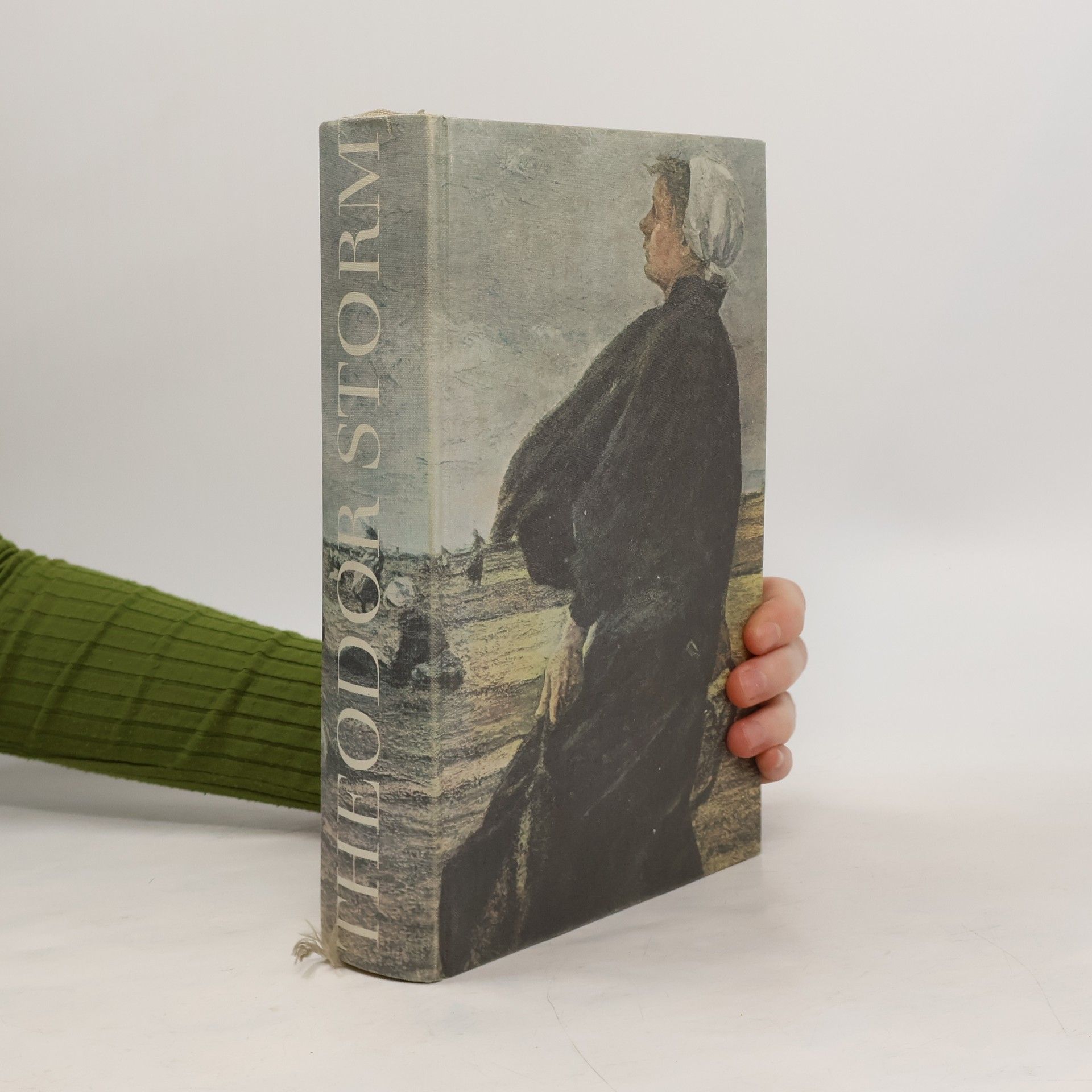 Theodor Storm Am Grauen Meer. Gesammelte Werke