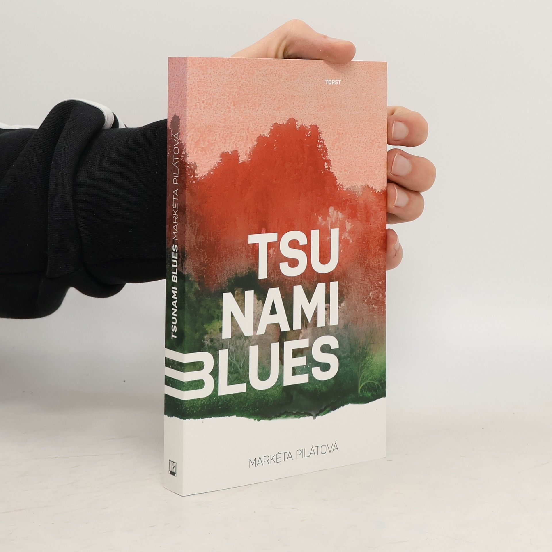 Markéta Pilátová Tsunami blues