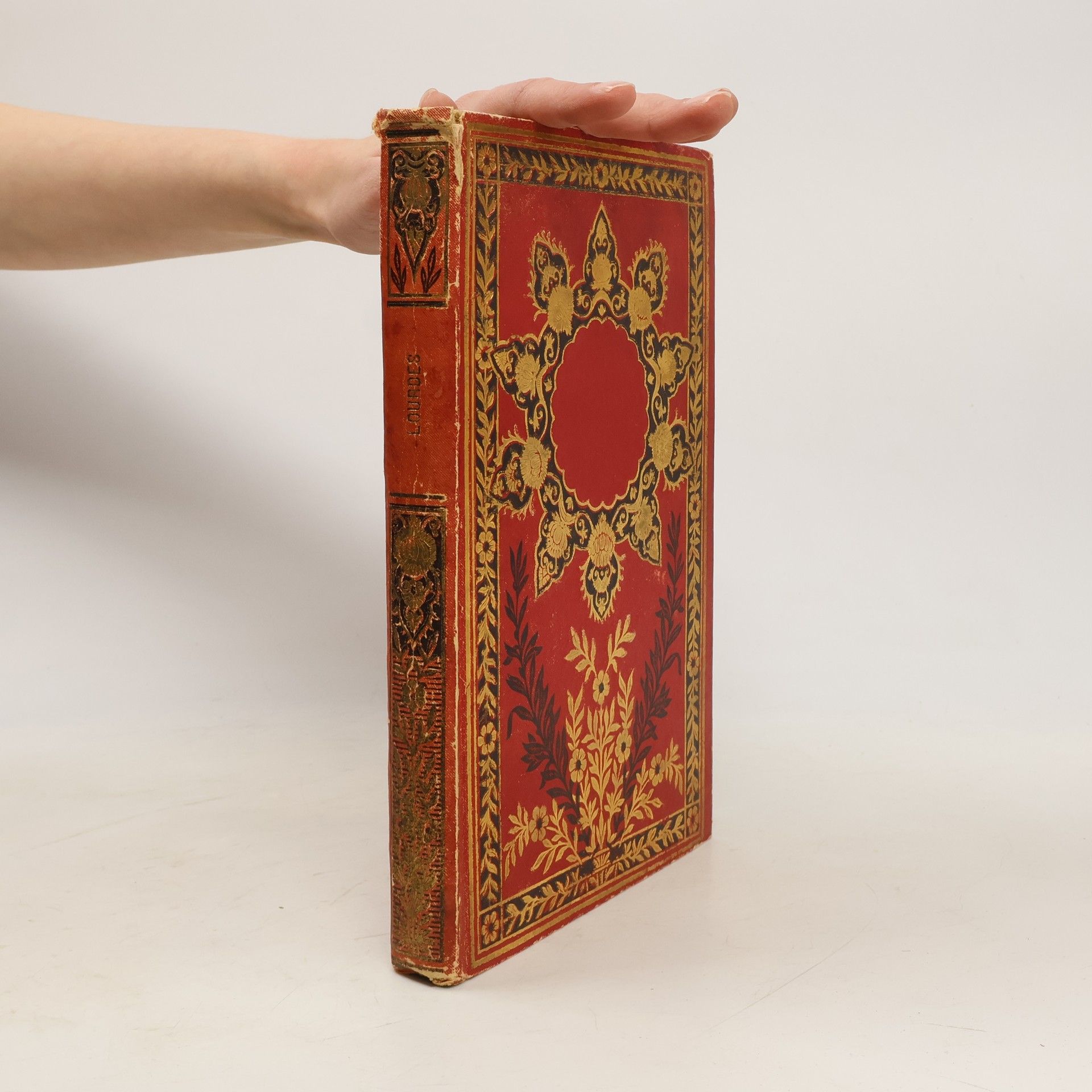 Marie-Rose Muneret Lourdes raconté à mes petites filles