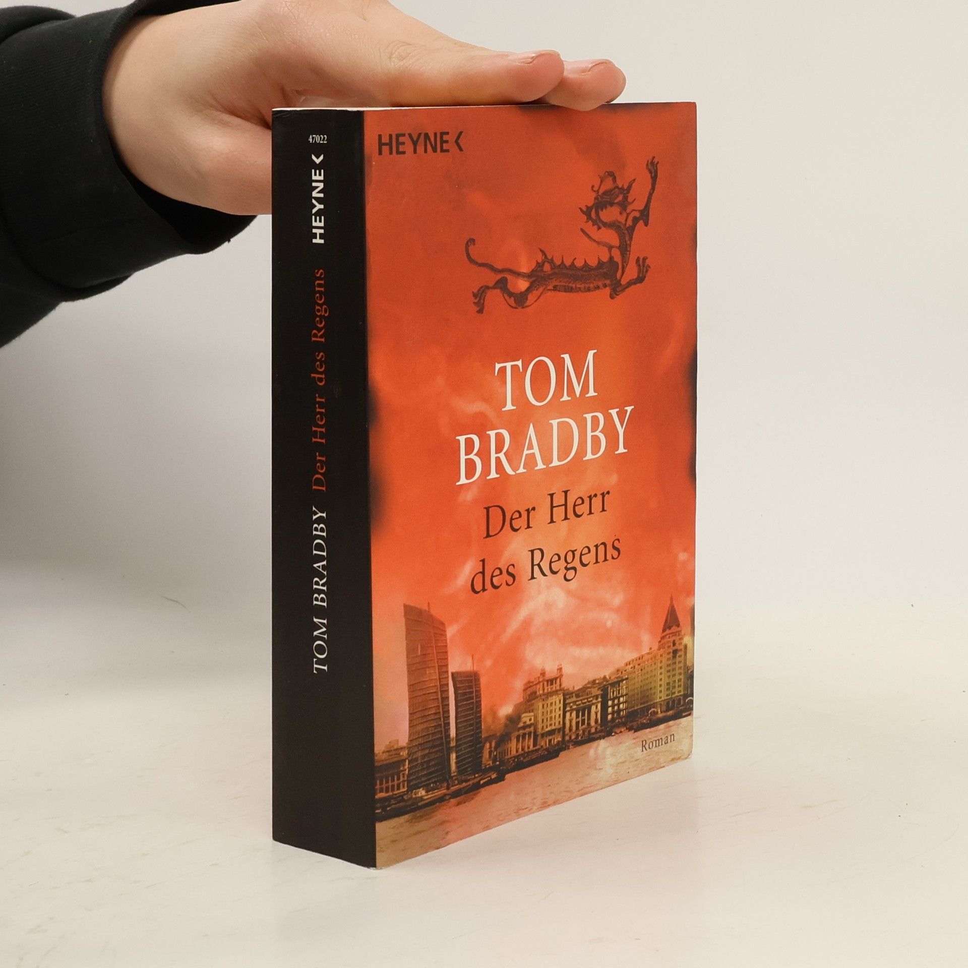 Tom Bradby Der Herr des Regens