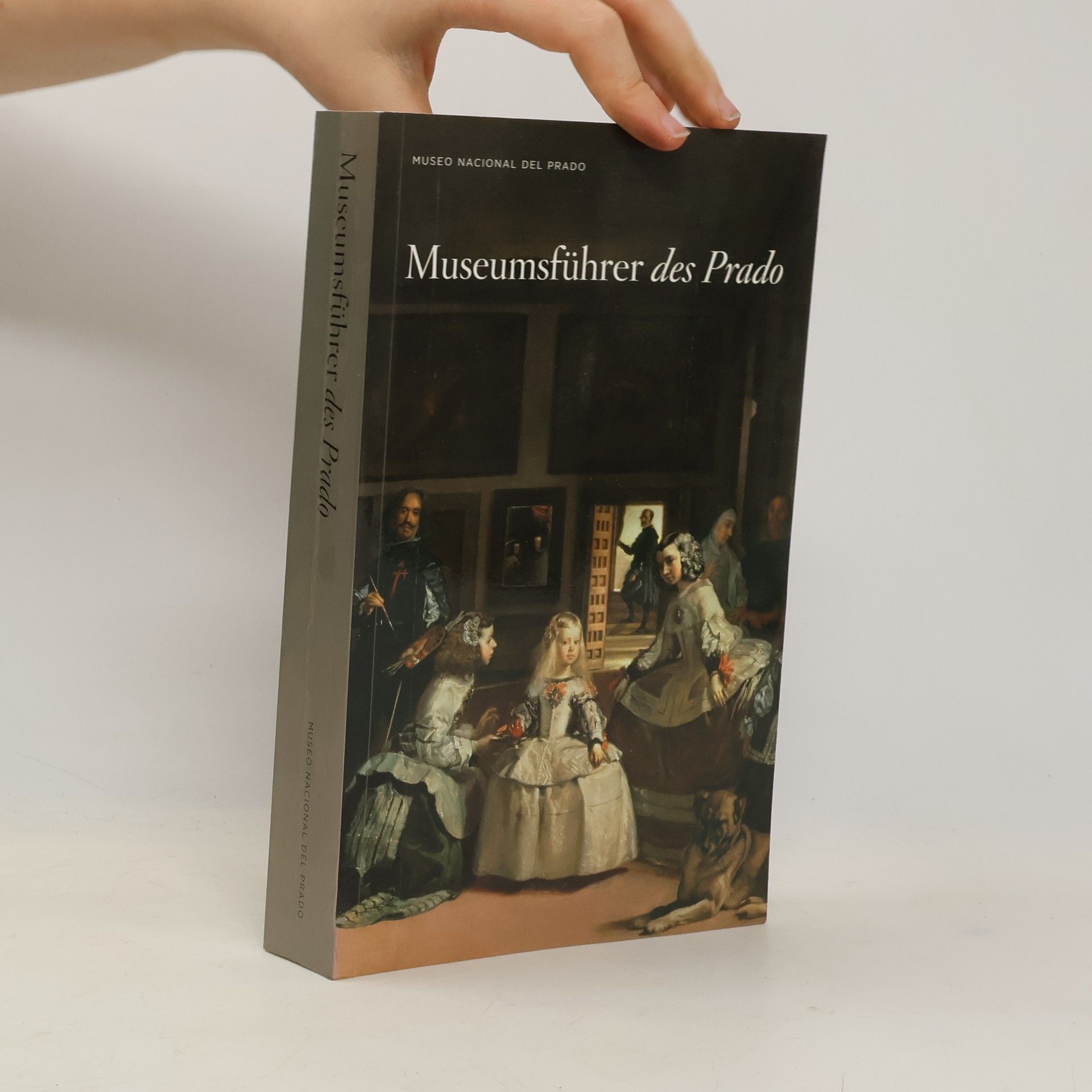 Alberto Pancorbo Museo Nacional del Prado: Museumsführer des Prado