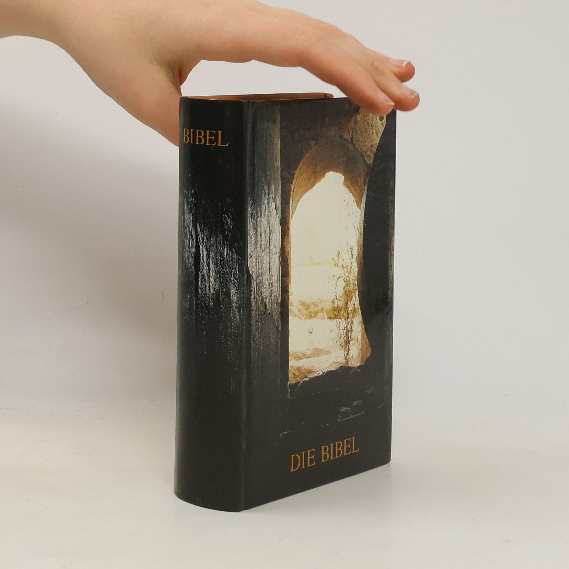 Autorenkollektiv Die Bibel