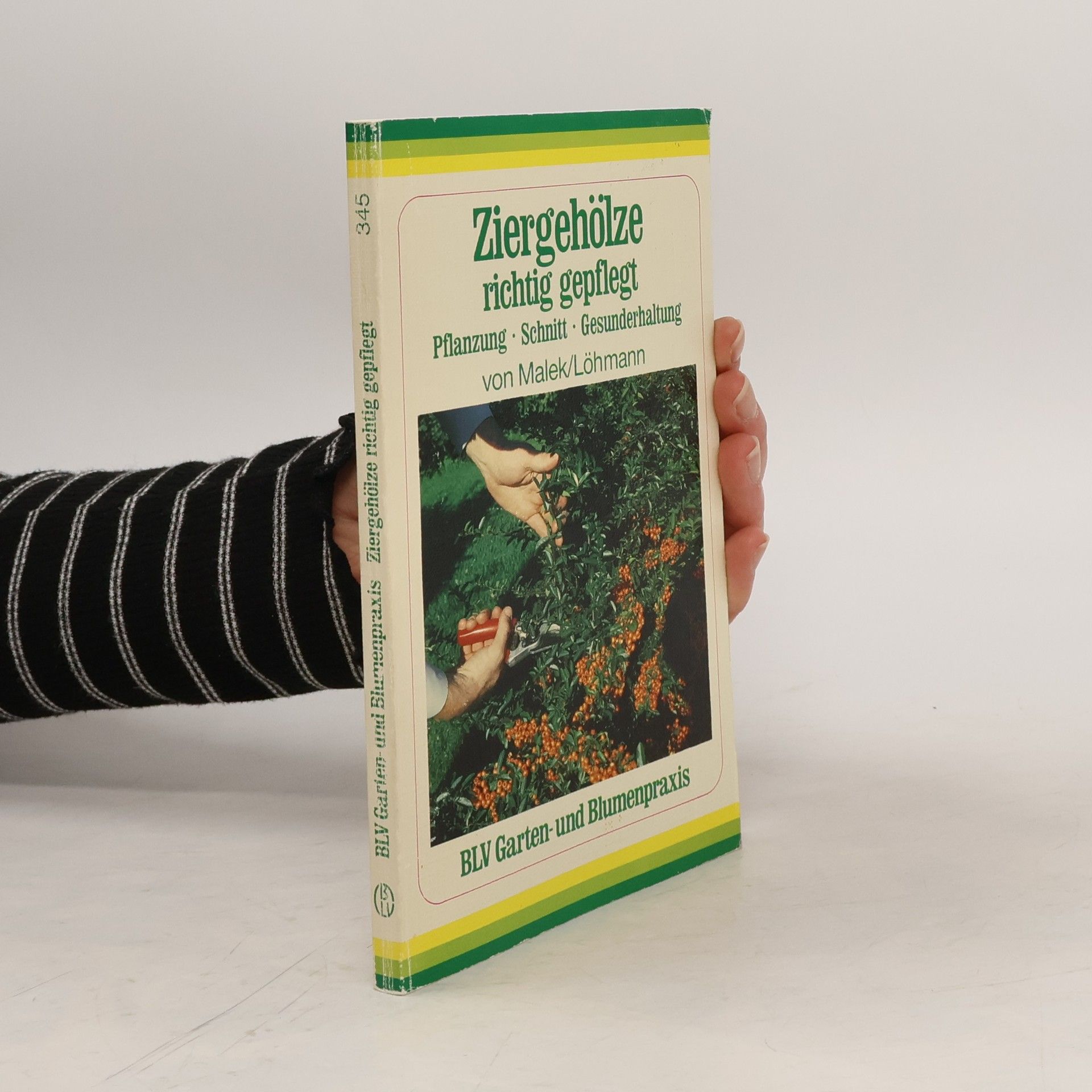 Ziergehölze richtig gepflegt