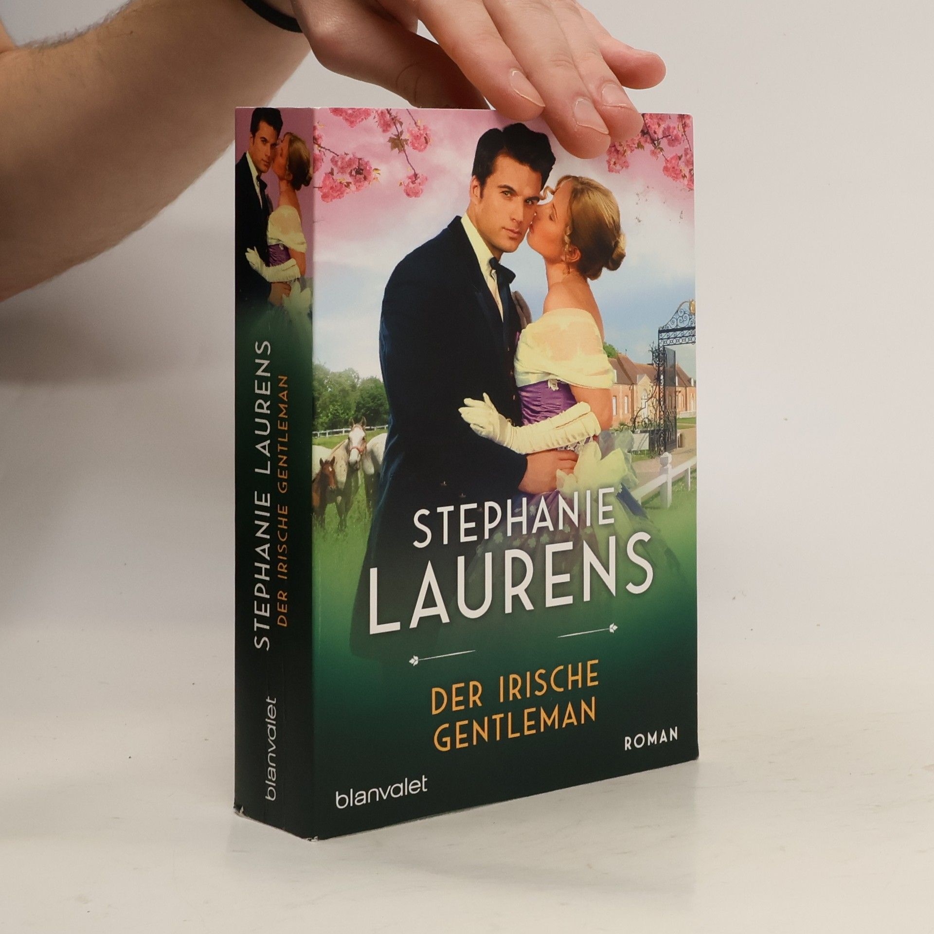 Der irische Gentleman