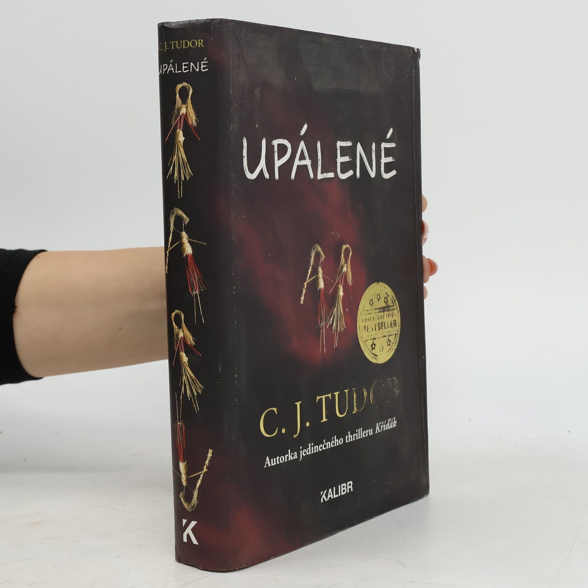C. J. Tudor Upálené